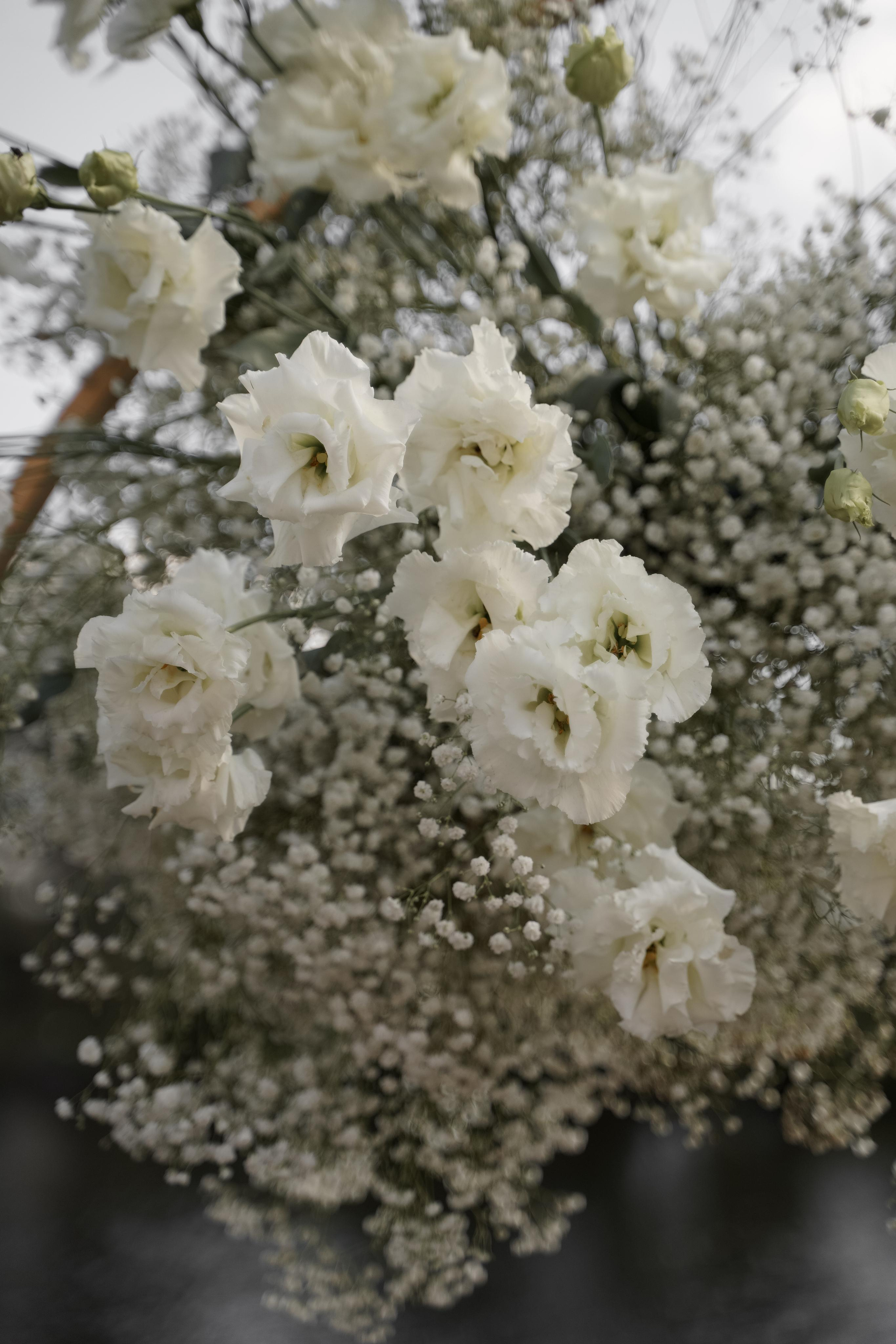 Анастасия и Дмитрий. Свадебный фотограф Марина Попова