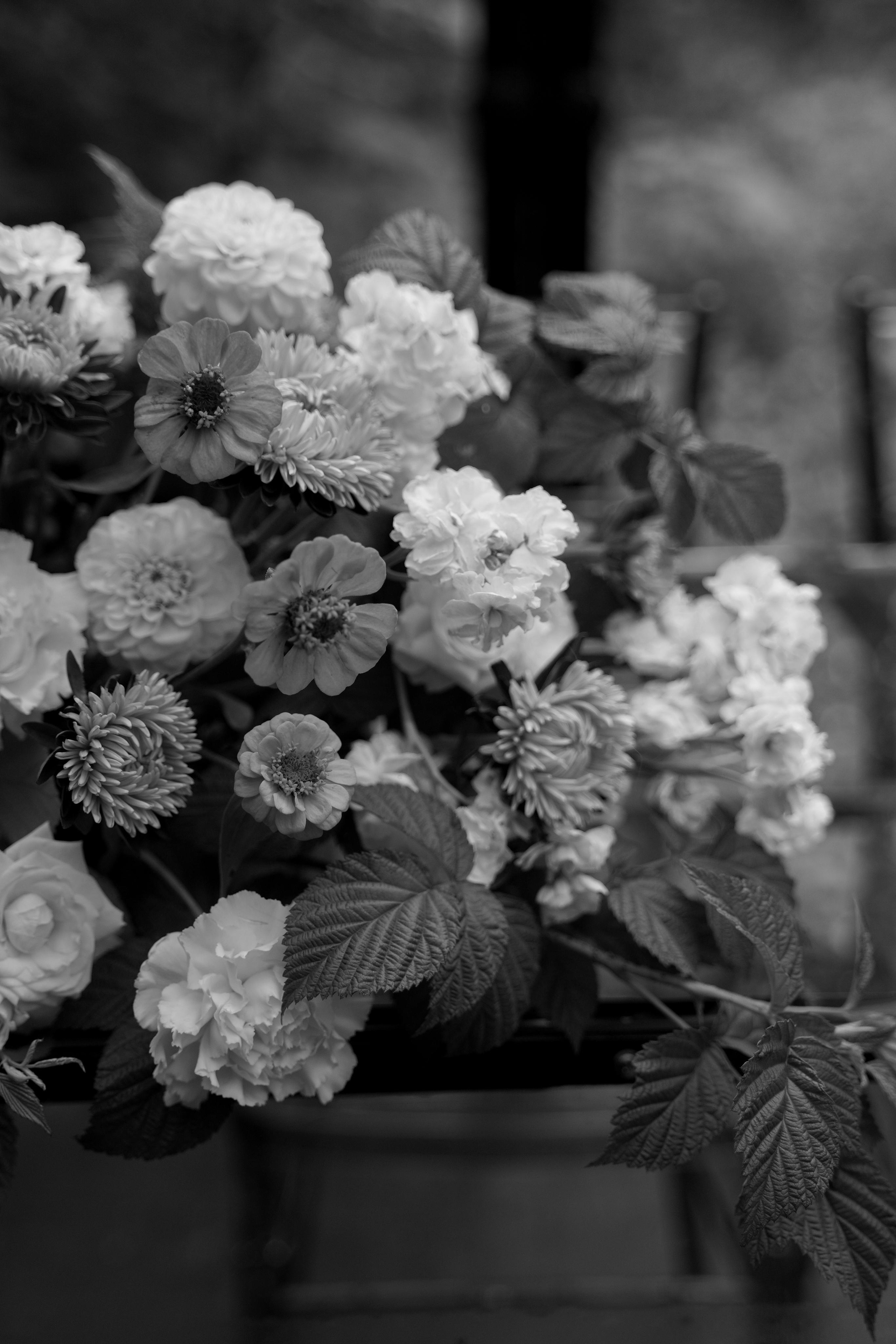 Наталья и Андрей. Свадебный фотограф Марина Попова