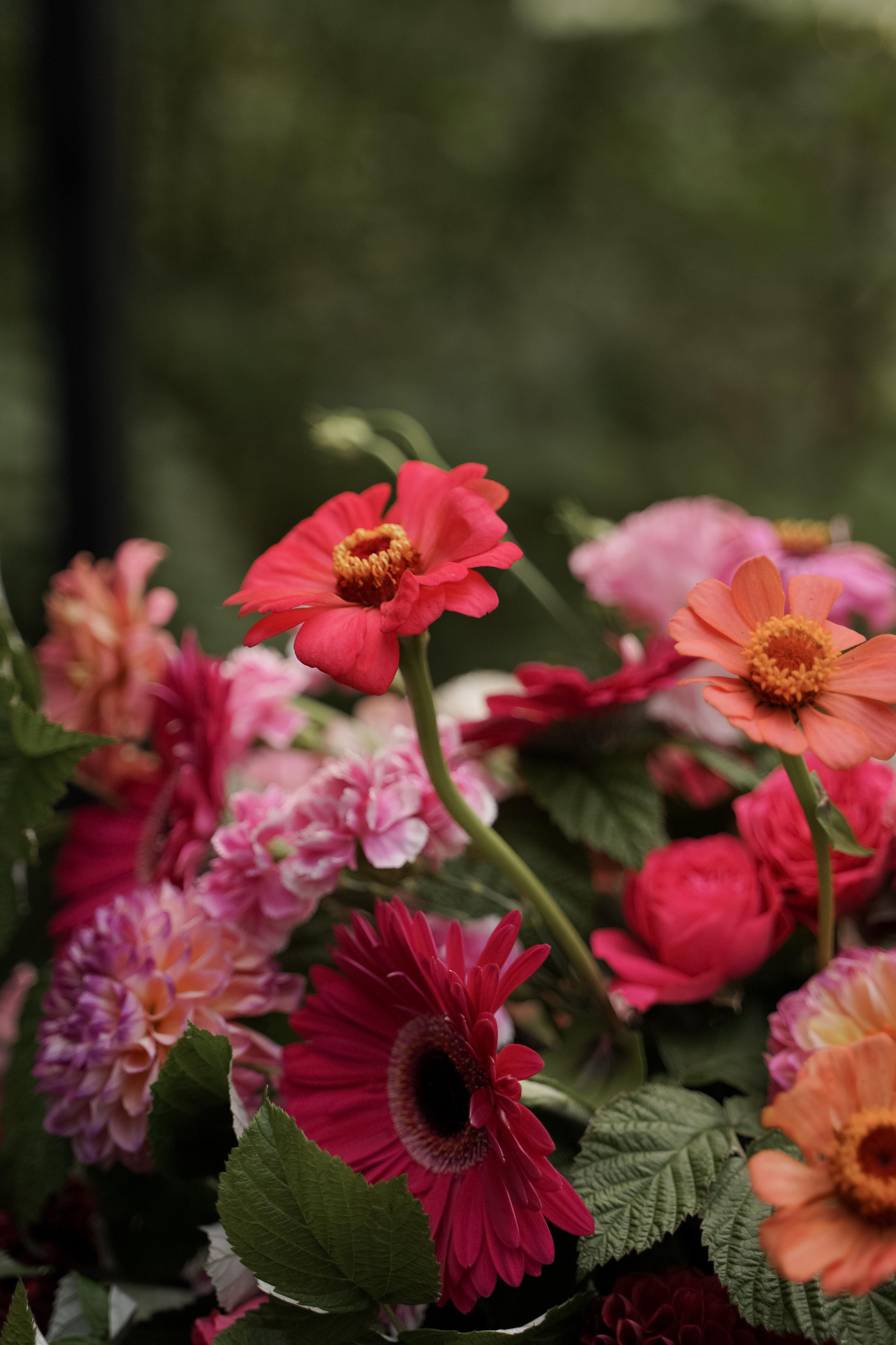 Наталья и Андрей. Свадебный фотограф Марина Попова