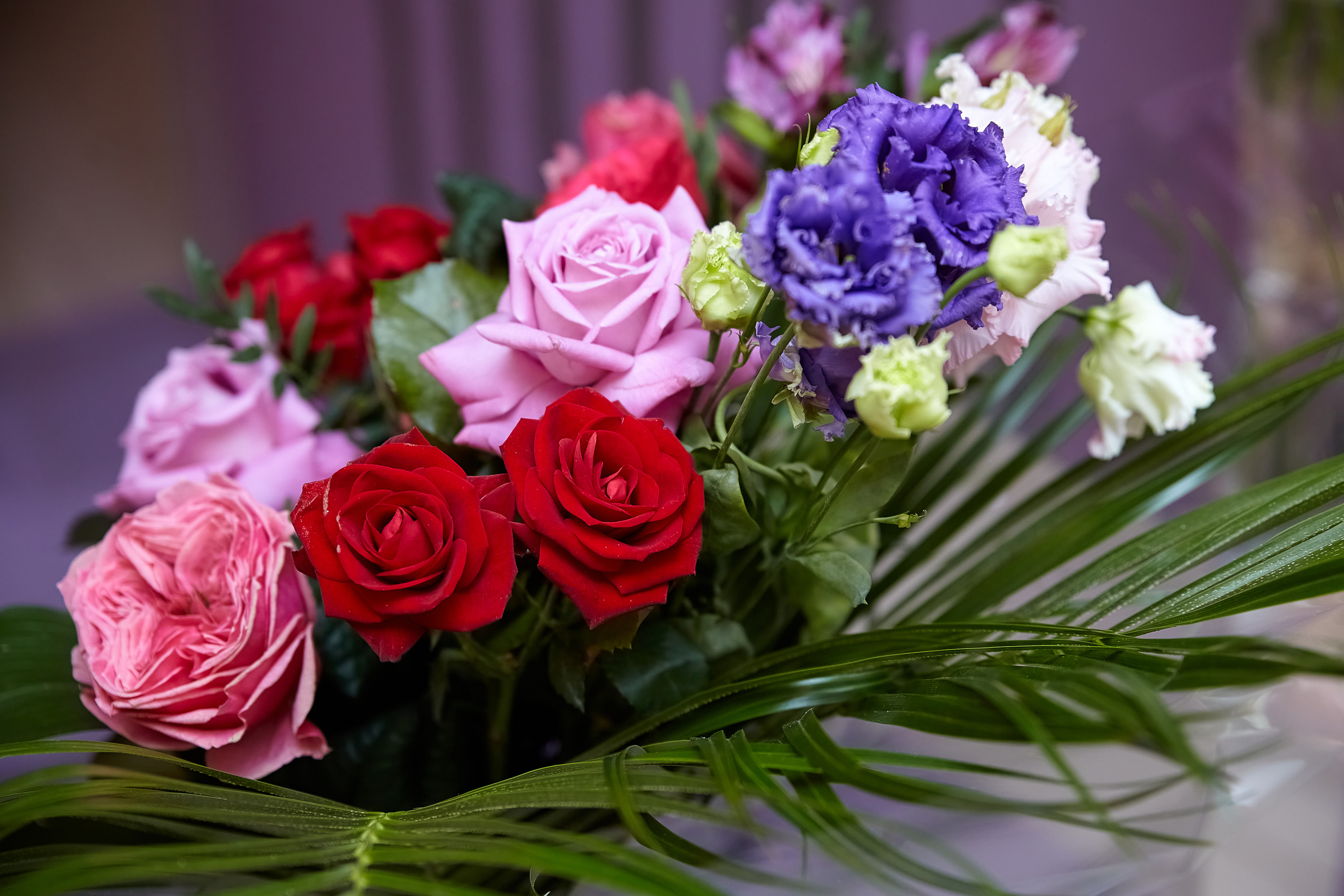 60 лет. Фотограф в Самаре Сергей Таранишин