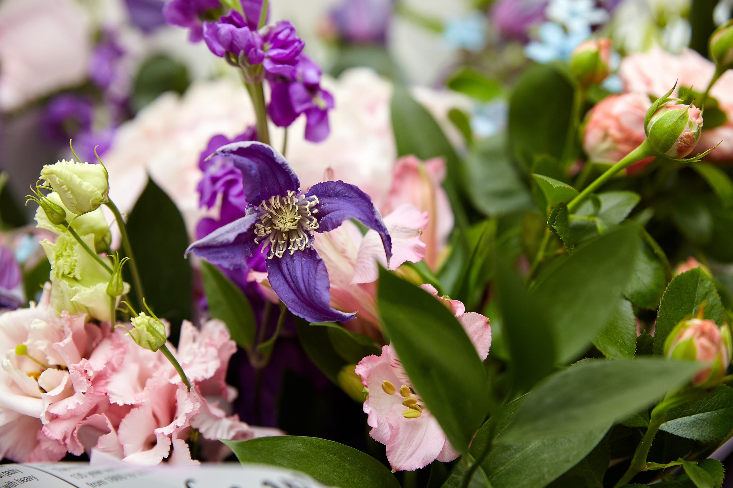 65 лет. Фотограф в Самаре Сергей Таранишин
