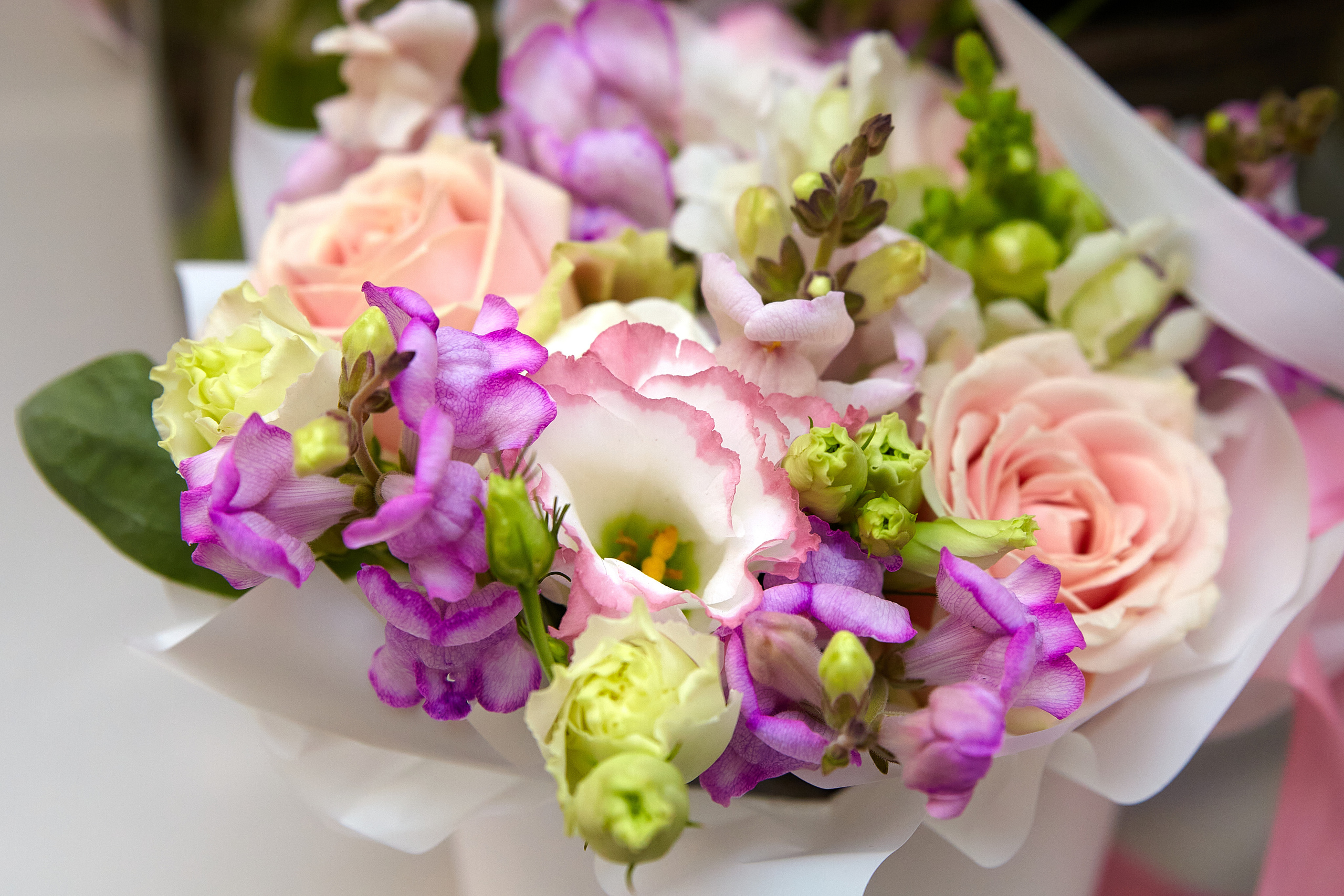 65 лет. Фотограф в Самаре Сергей Таранишин