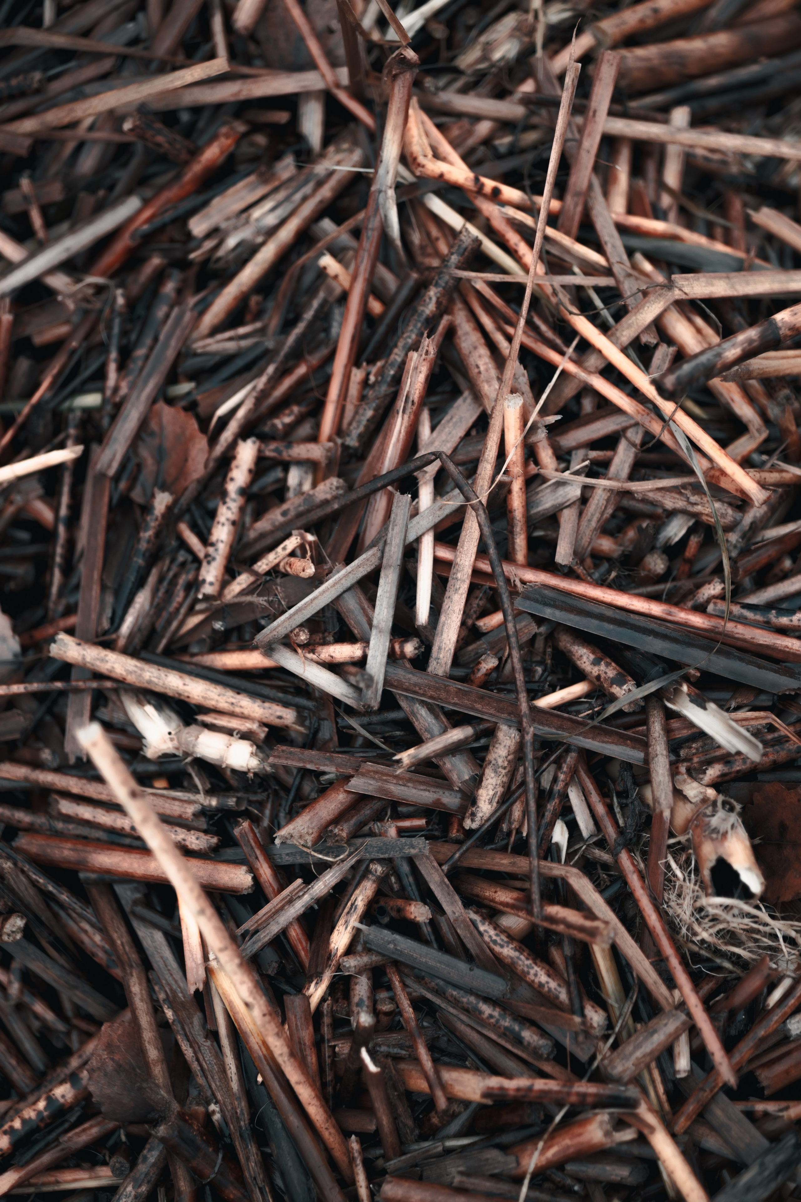 1-й Северный форт Кронштадт