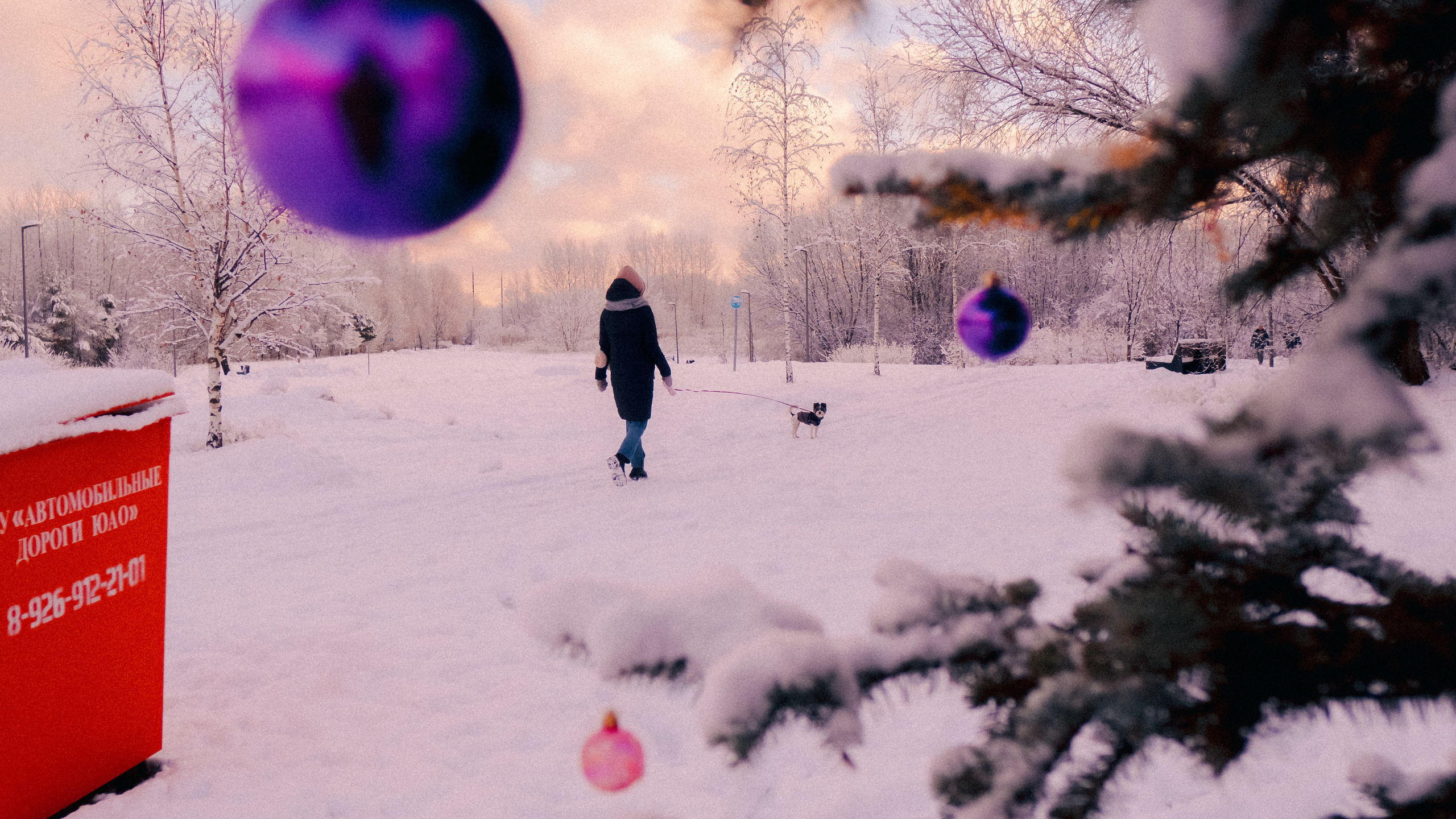Зимняя сказка. Фёдор Малюгин. Ваш бади в визуале