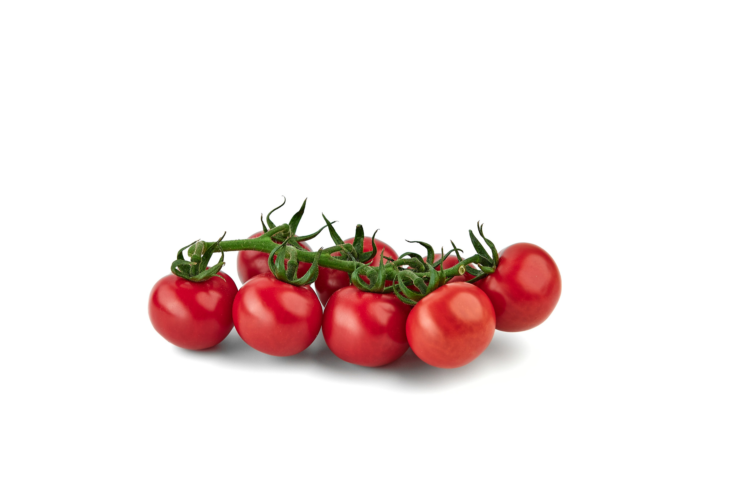 Предметная фотосъемка. Light Media — креативный видеопродакшн