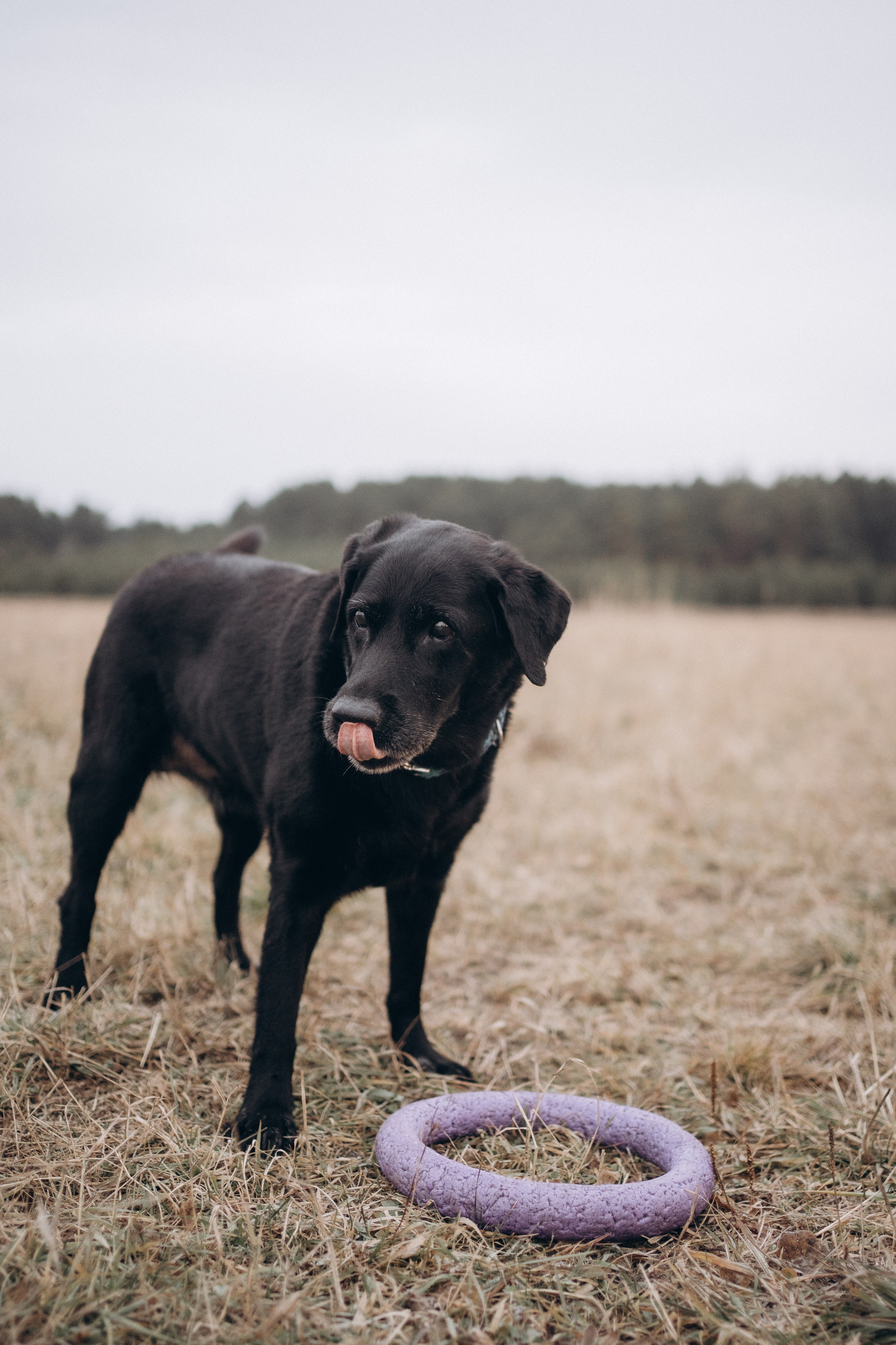 Таня и Молли. Фотограф-анималист Анастасия Большакова