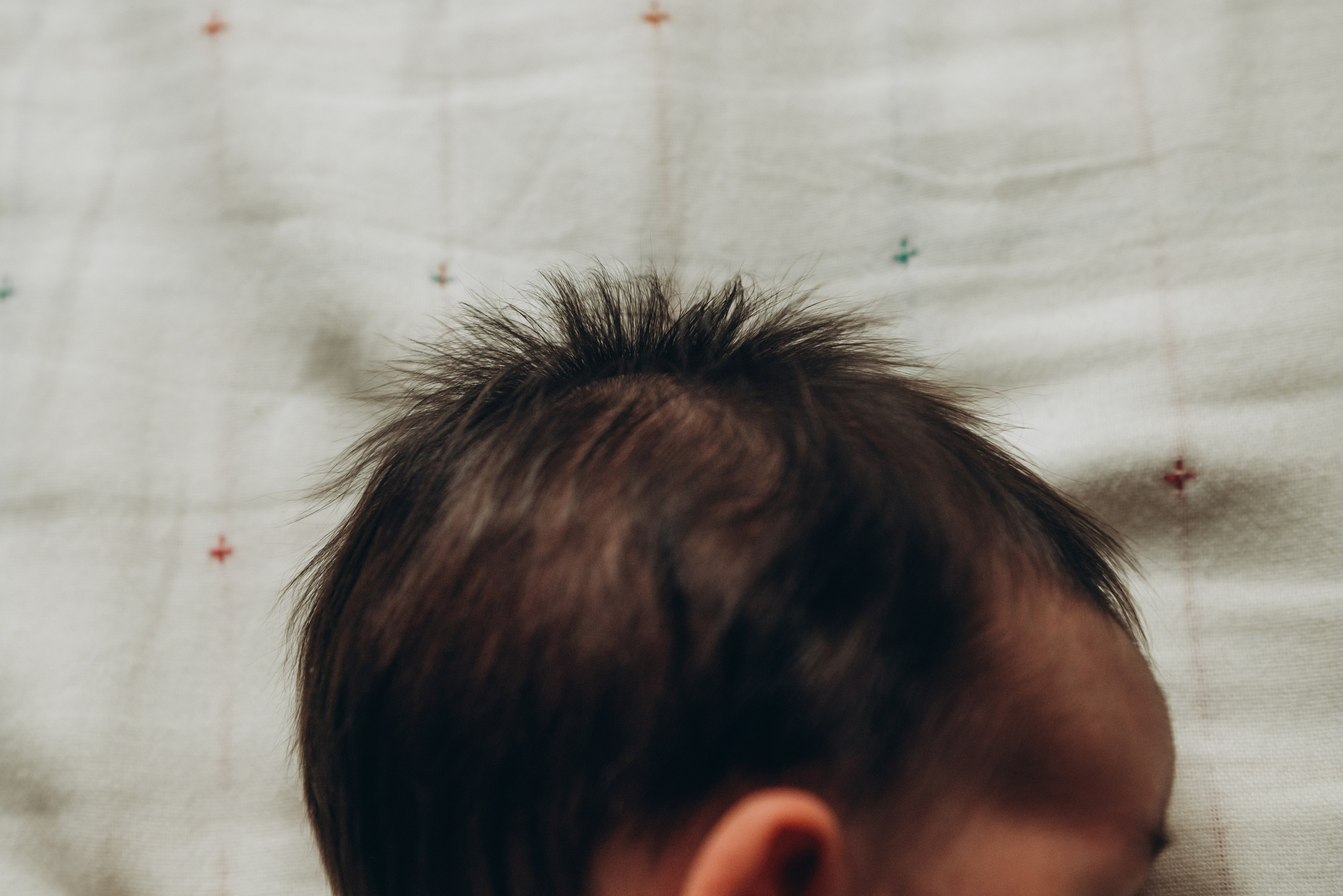 Маша + Вадим + Марк. Фотограф в Санкт-Петербурге Пономарева Юлия