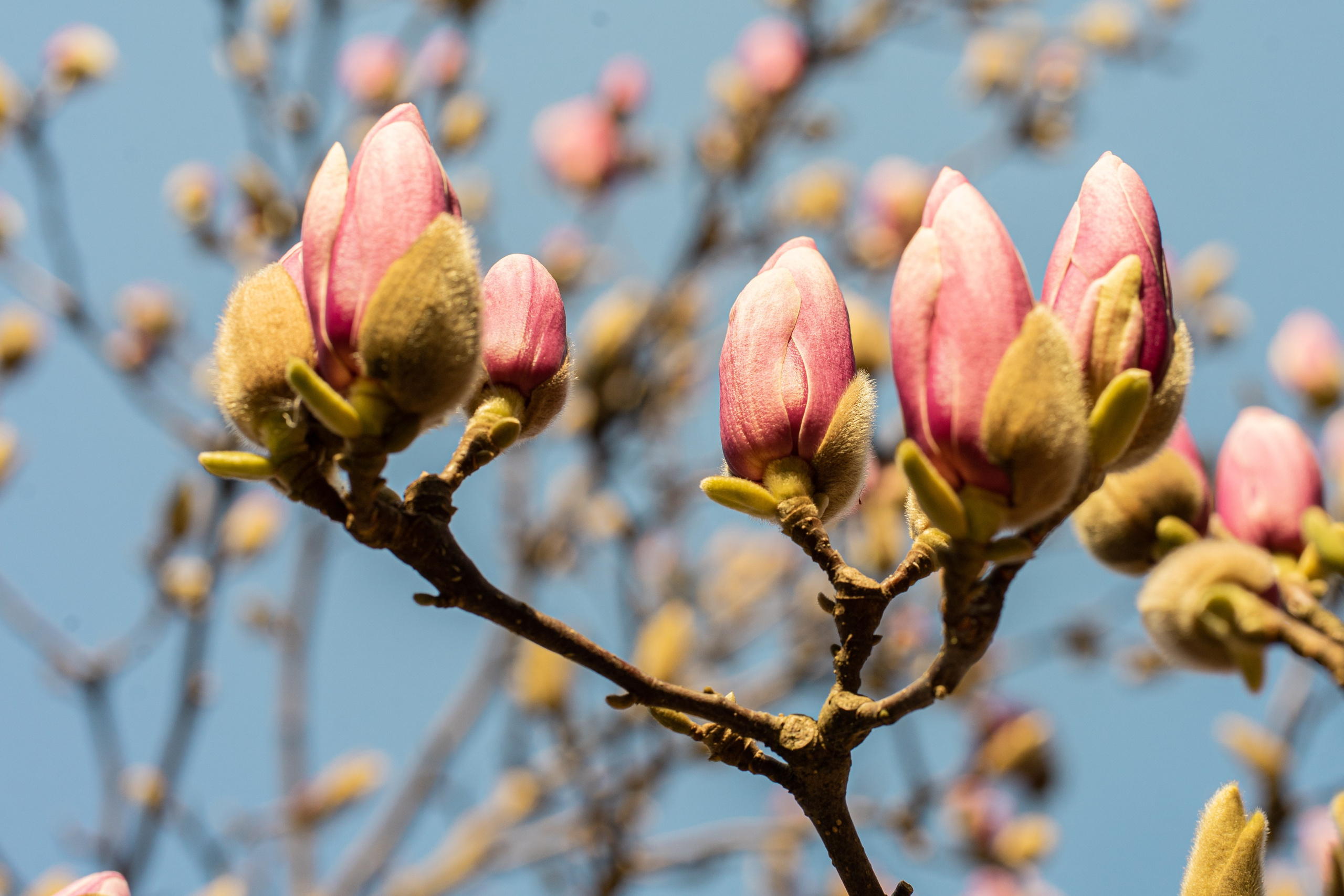 Фотосессия в парке. Фотограф в Сочи Тиунова Маргарита и Тиунов Евгений