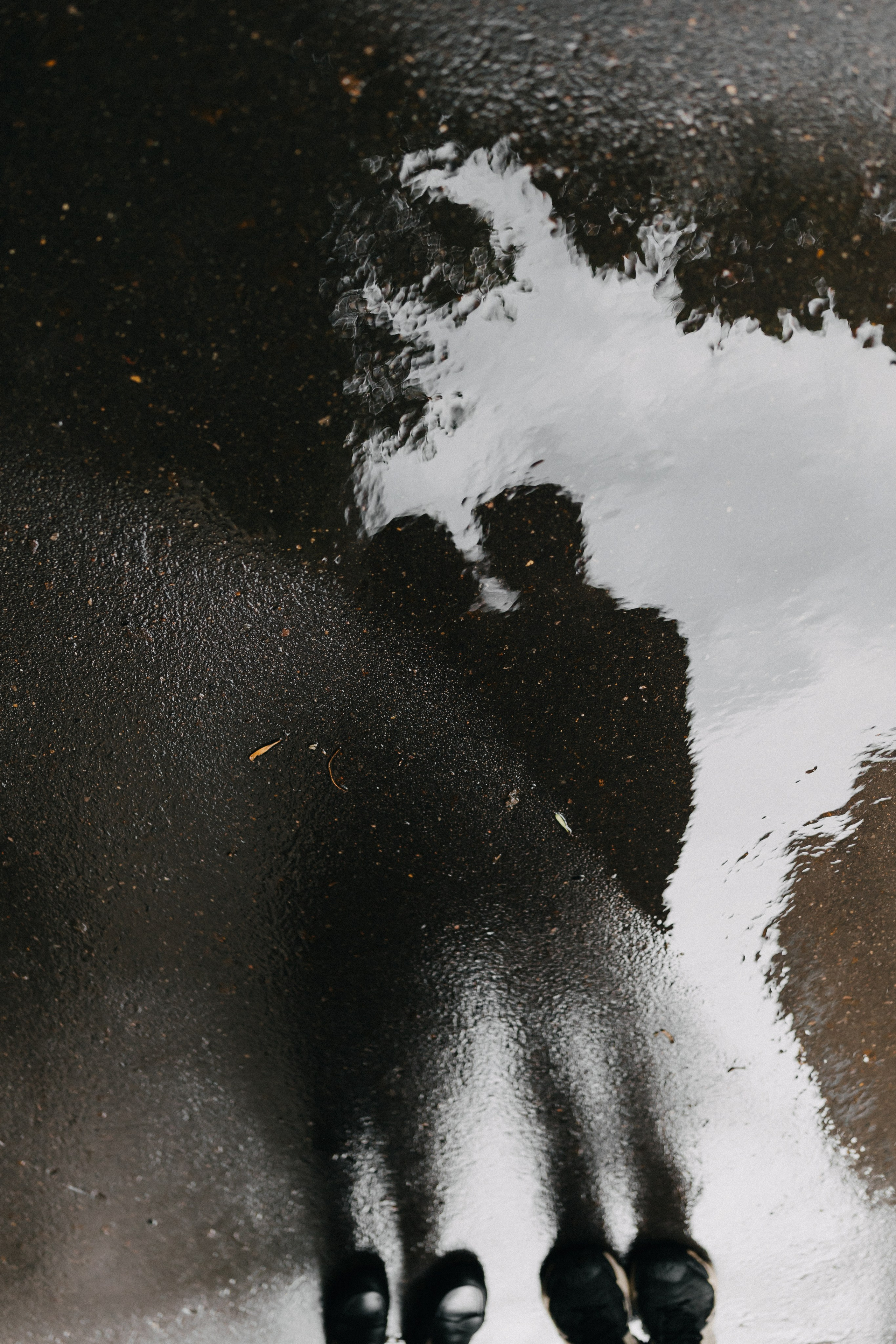 Саша и Настя. Ланемец Юлия — фотограф Волгоград/Волжский