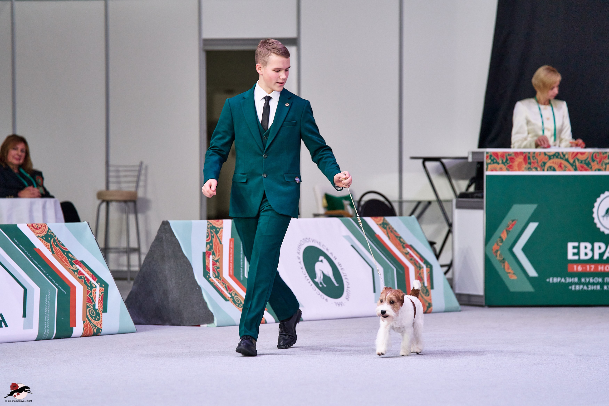 17.11.2024 «ЕВРАЗИЯ. КУБОК СНГ 2024»