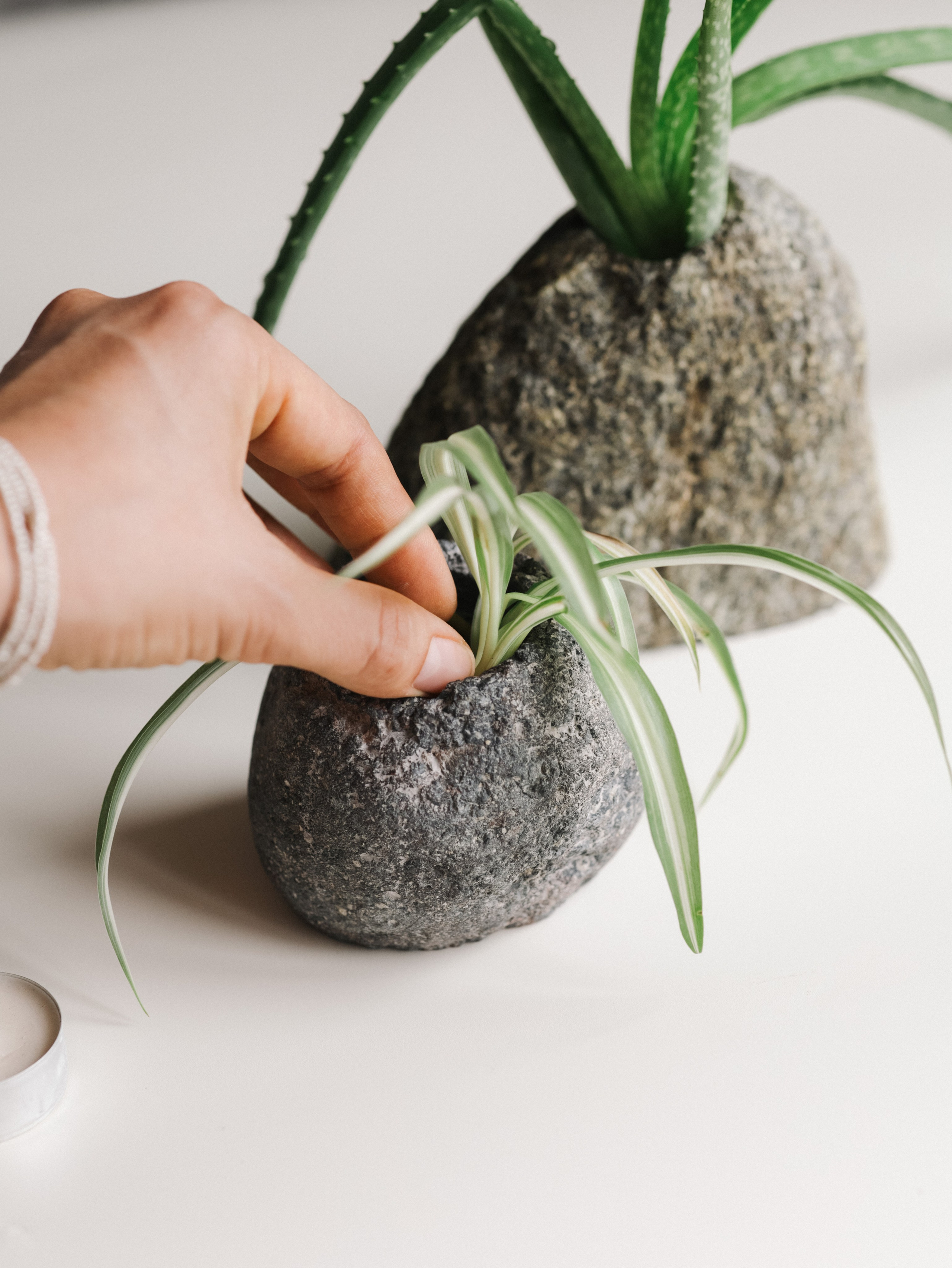 Подсвечники и салфетницы. Алёна Стерхова — Предметный и портретный фотограф. Ижевск