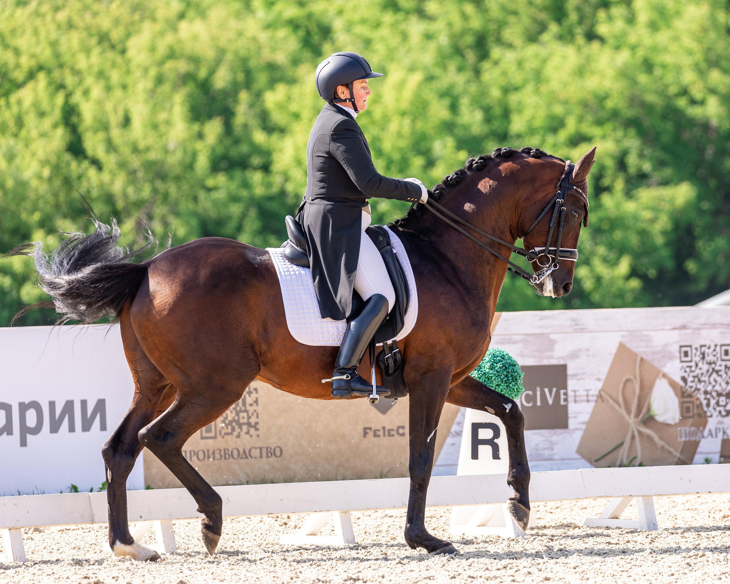 Выездка. Mrs.Aquarelia Конный фотограф Марианна Леонтьева