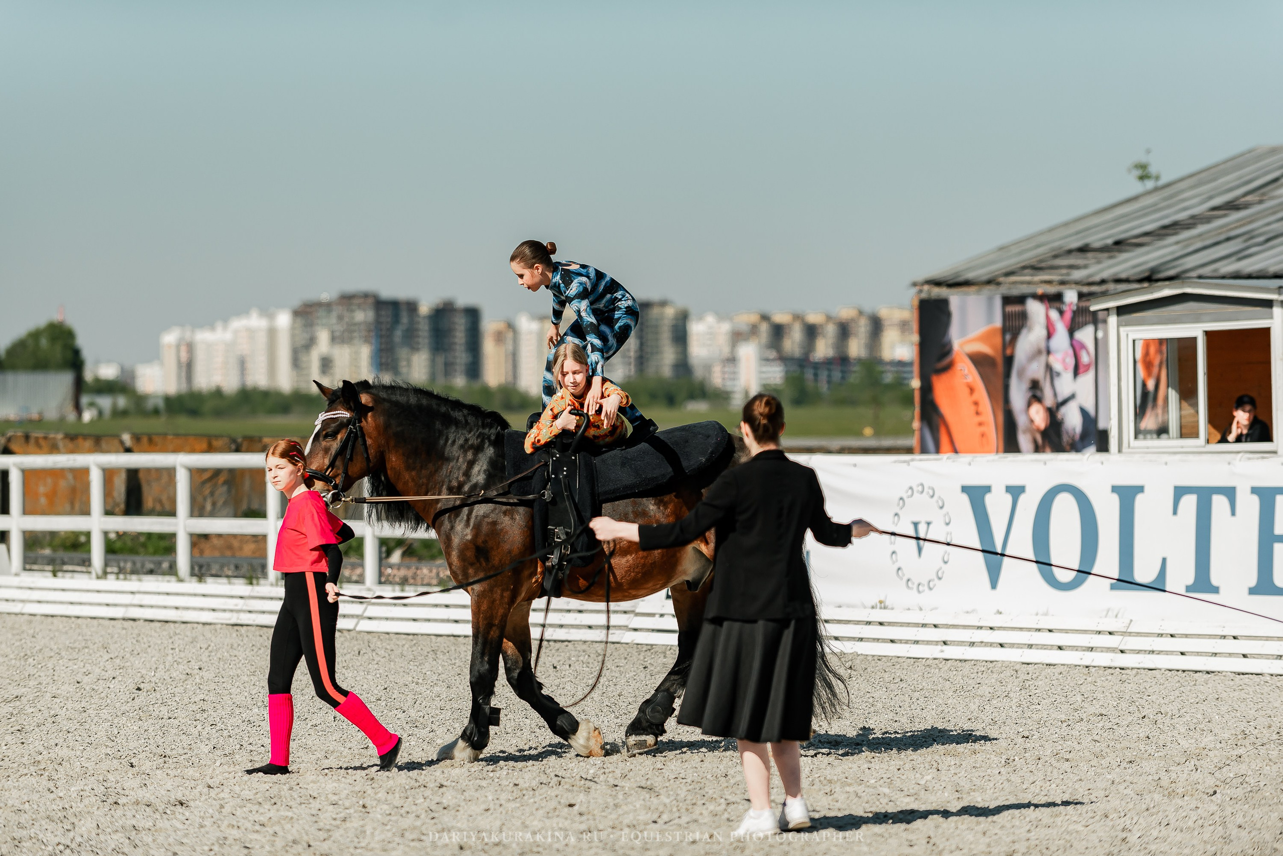 РЕПОРТАЖ МКК ВОЛЬТ «LA TULIPS». Конный фотограф Куракина Дарья • Фотосессии с лошадьми