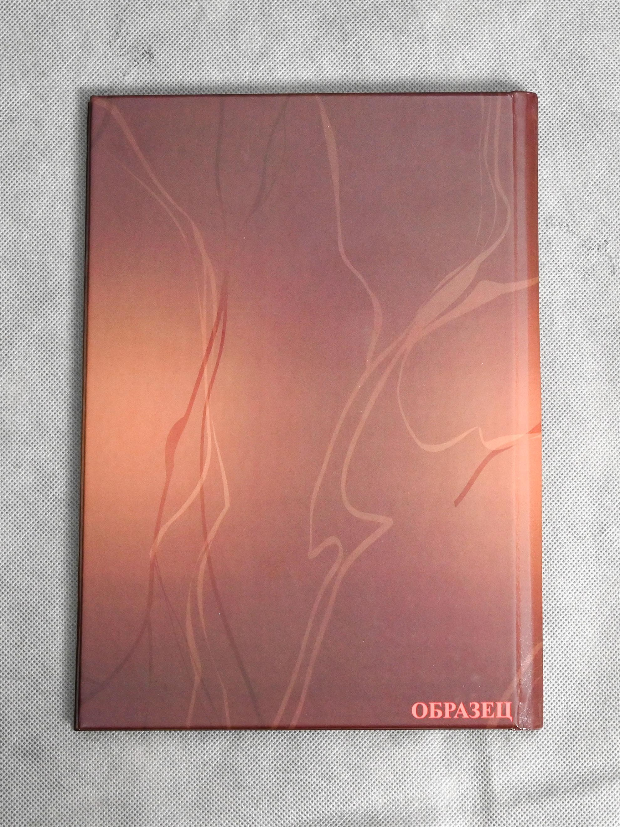 Книга с мягкими журнальными страницами 21×30см. Количество страниц — 60. Цена -5580р. Школьные фотоальбомы в Мичуринске