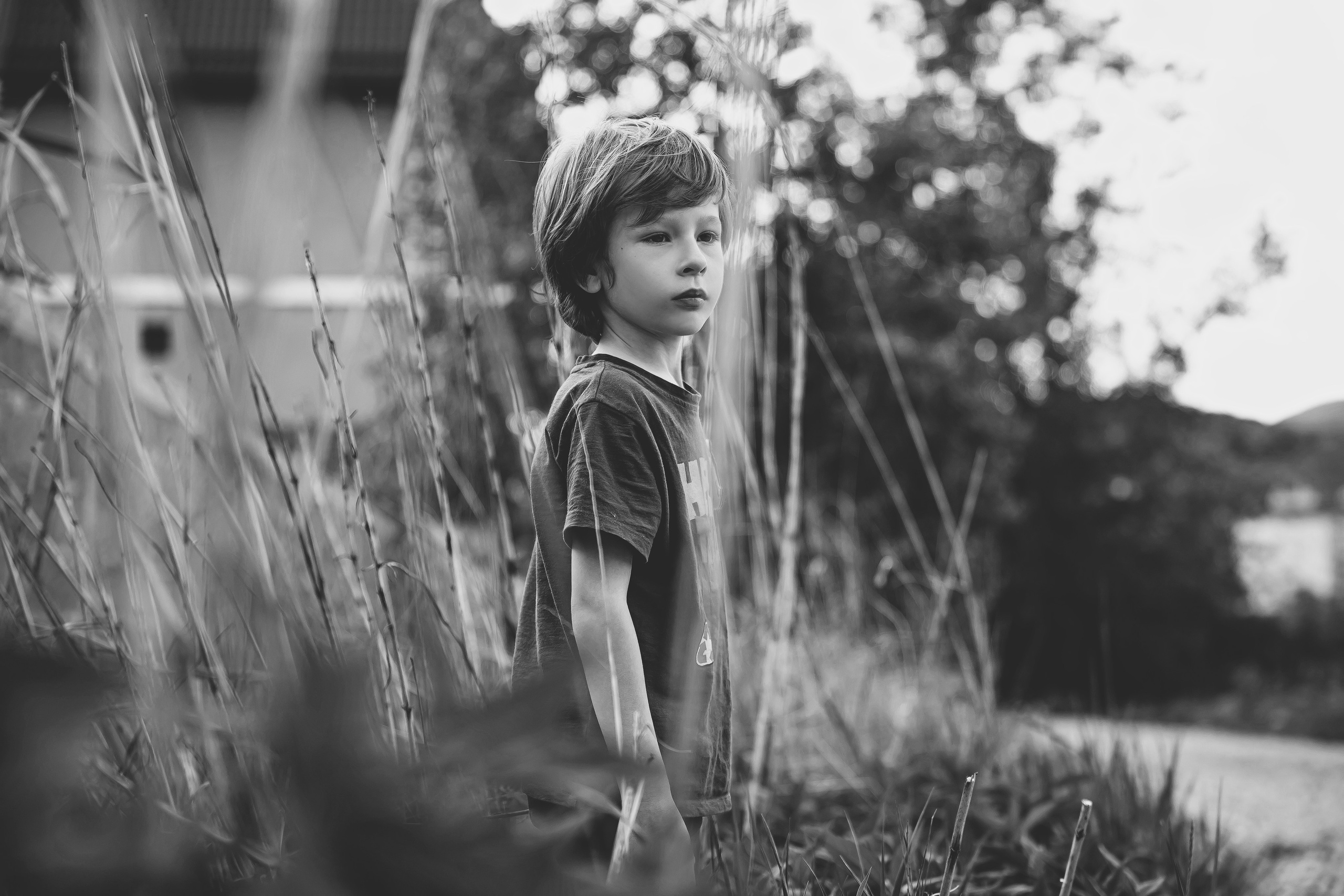 Тарас. Май 2025. Свадебный и семейный фотограф Колоскова Мария (Сочи и весь мир)