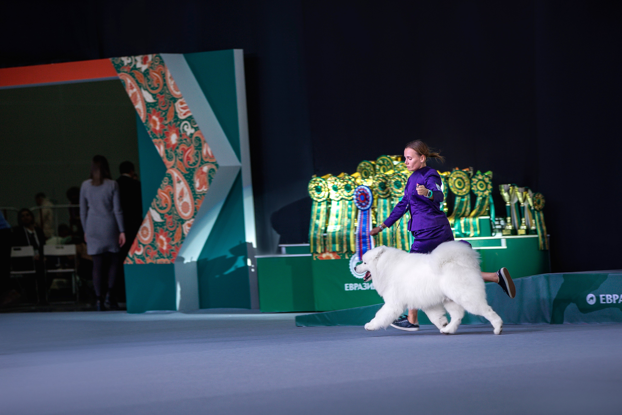 Выставки. Фотограф анималист в Москве Майорова Евгения