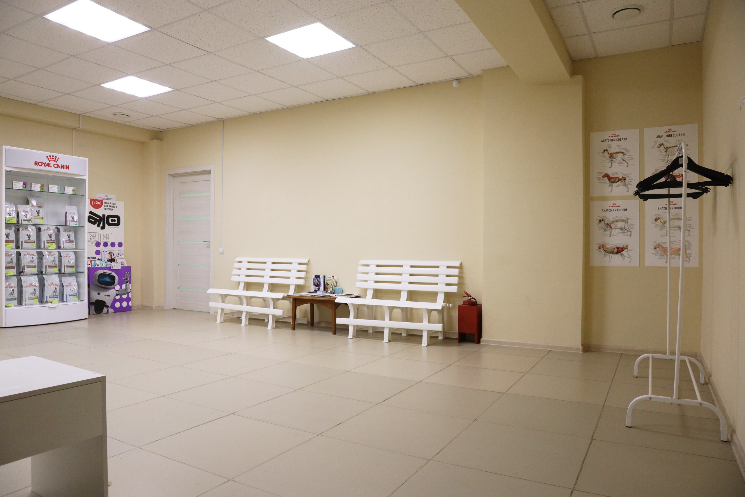 Ветеринарная клиника «Мокрый нос». Фотограф Сергей Феденко