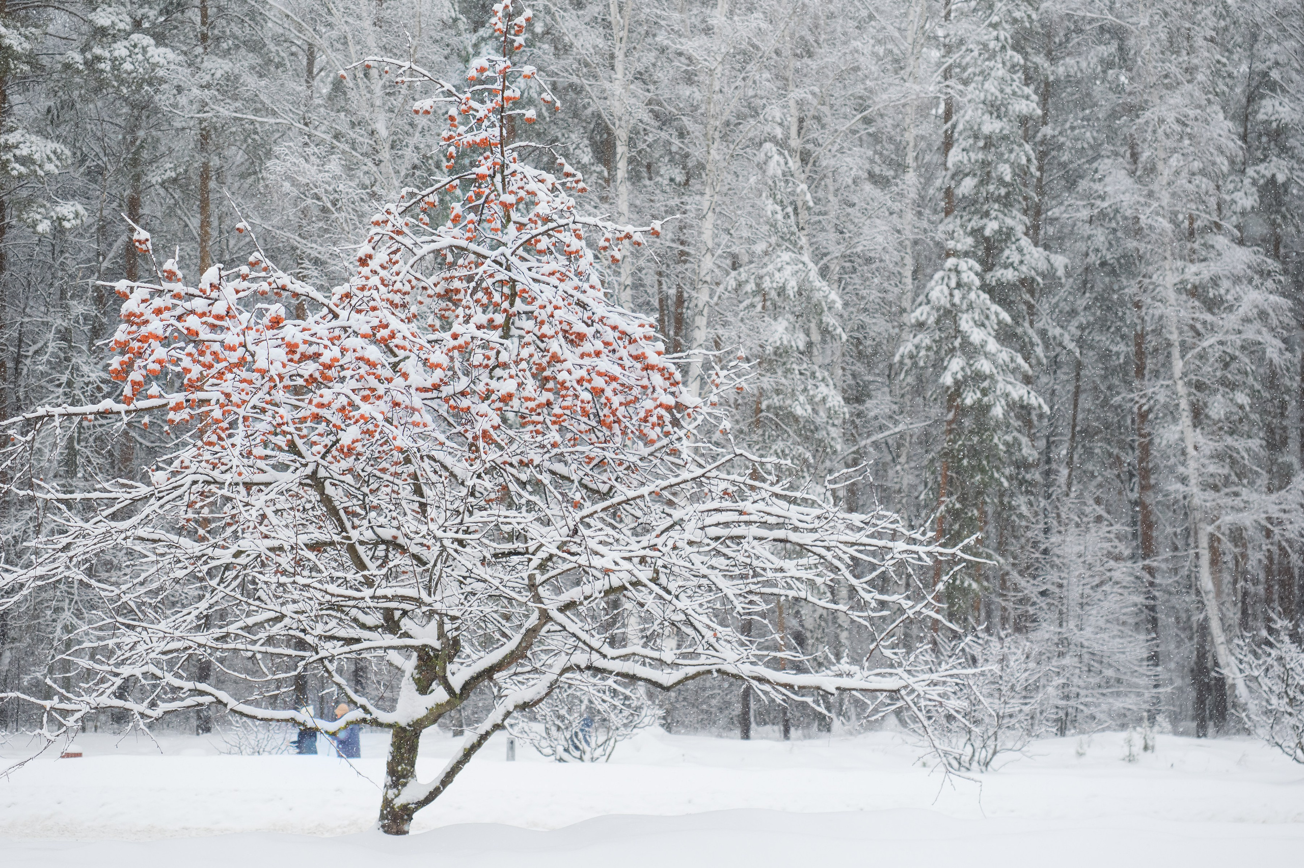 Красота Заречного. Репортажный, семейный и детский фотограф в Пензе и Заречном Арина Ермилова. Картины барельеф на заказ