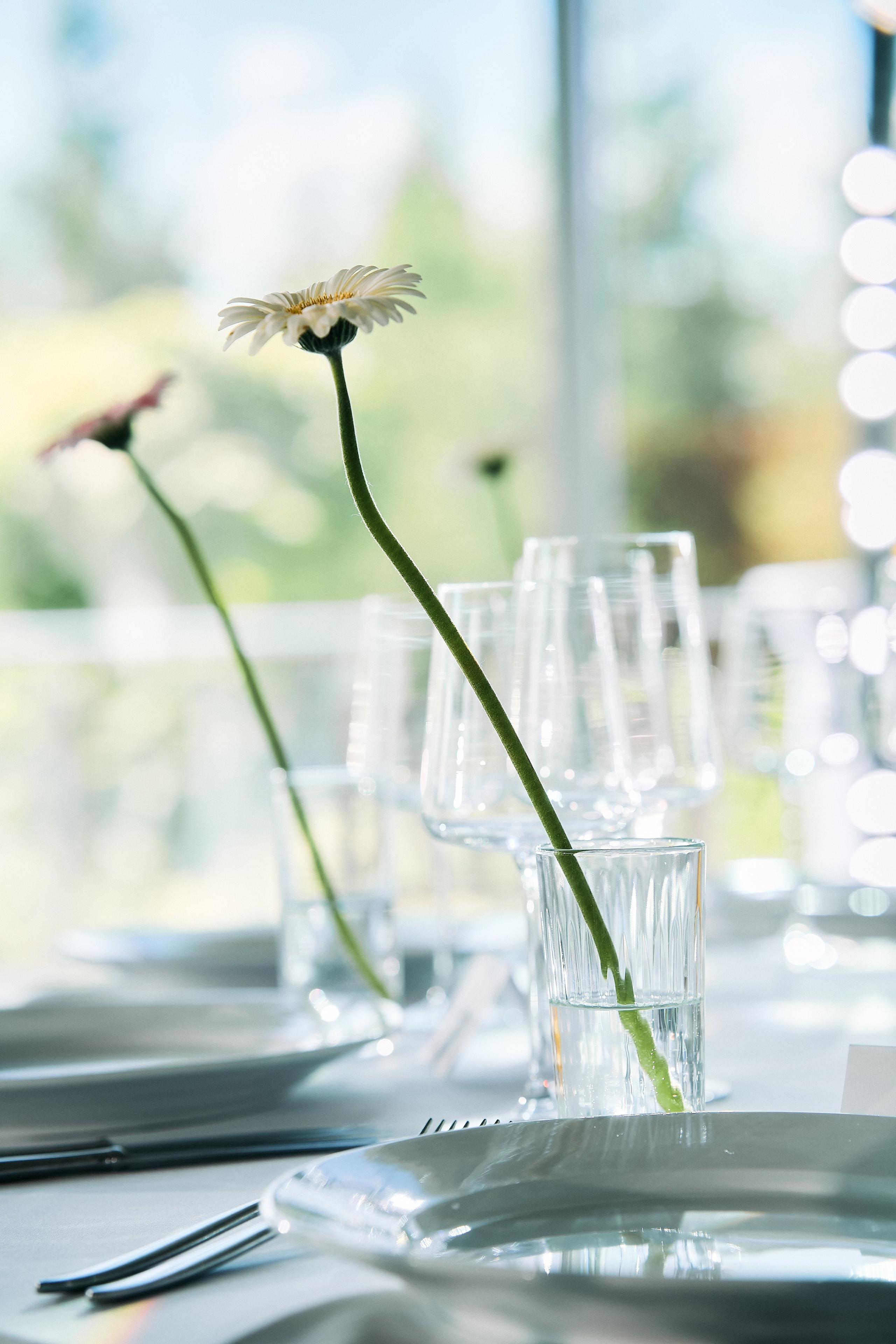 Виталий и Диана. Свадебный фотограф Минск РБ