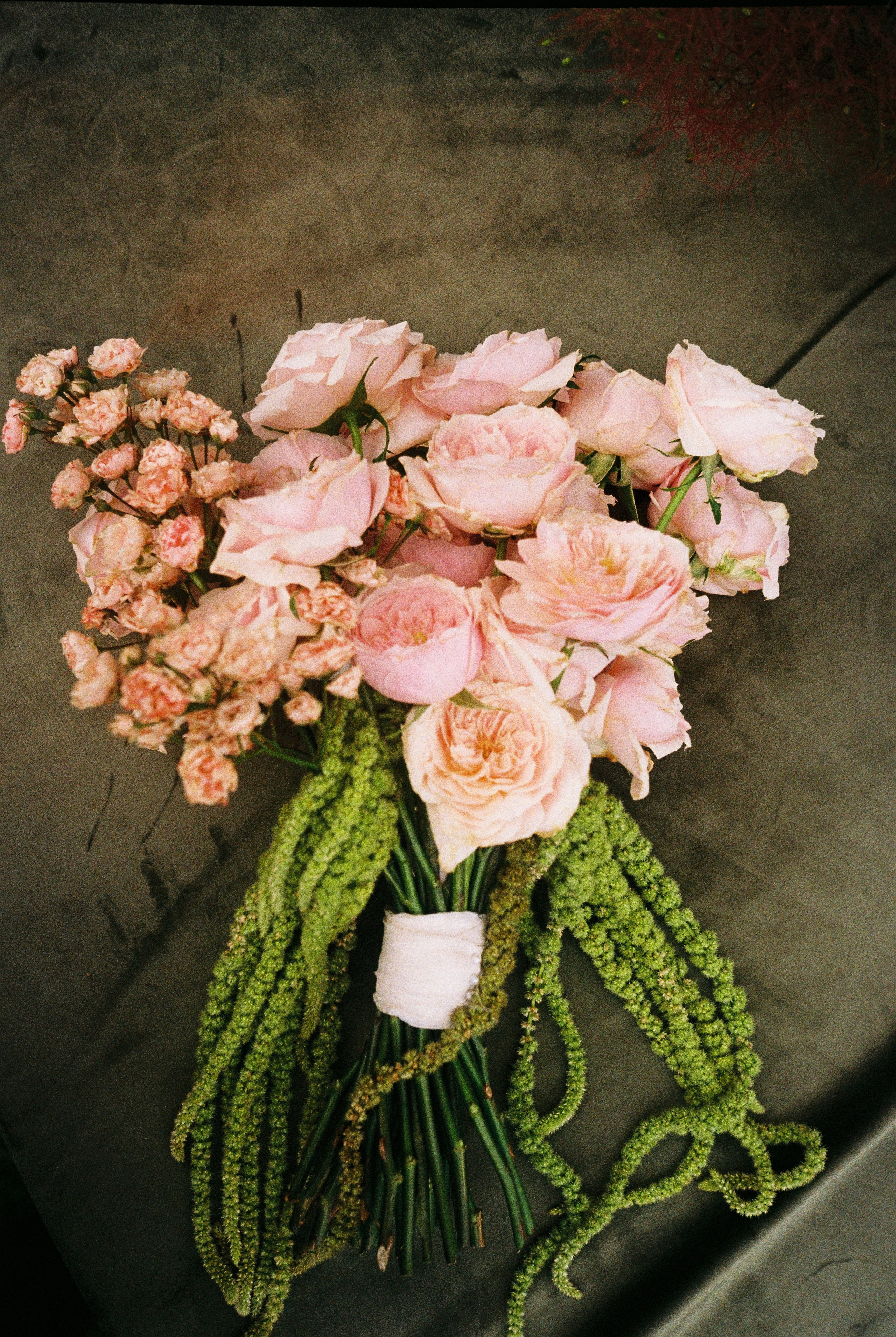 Anna & Alex film/digital Dwor Staiki. Свадебный фотограф Кристина Винокурова