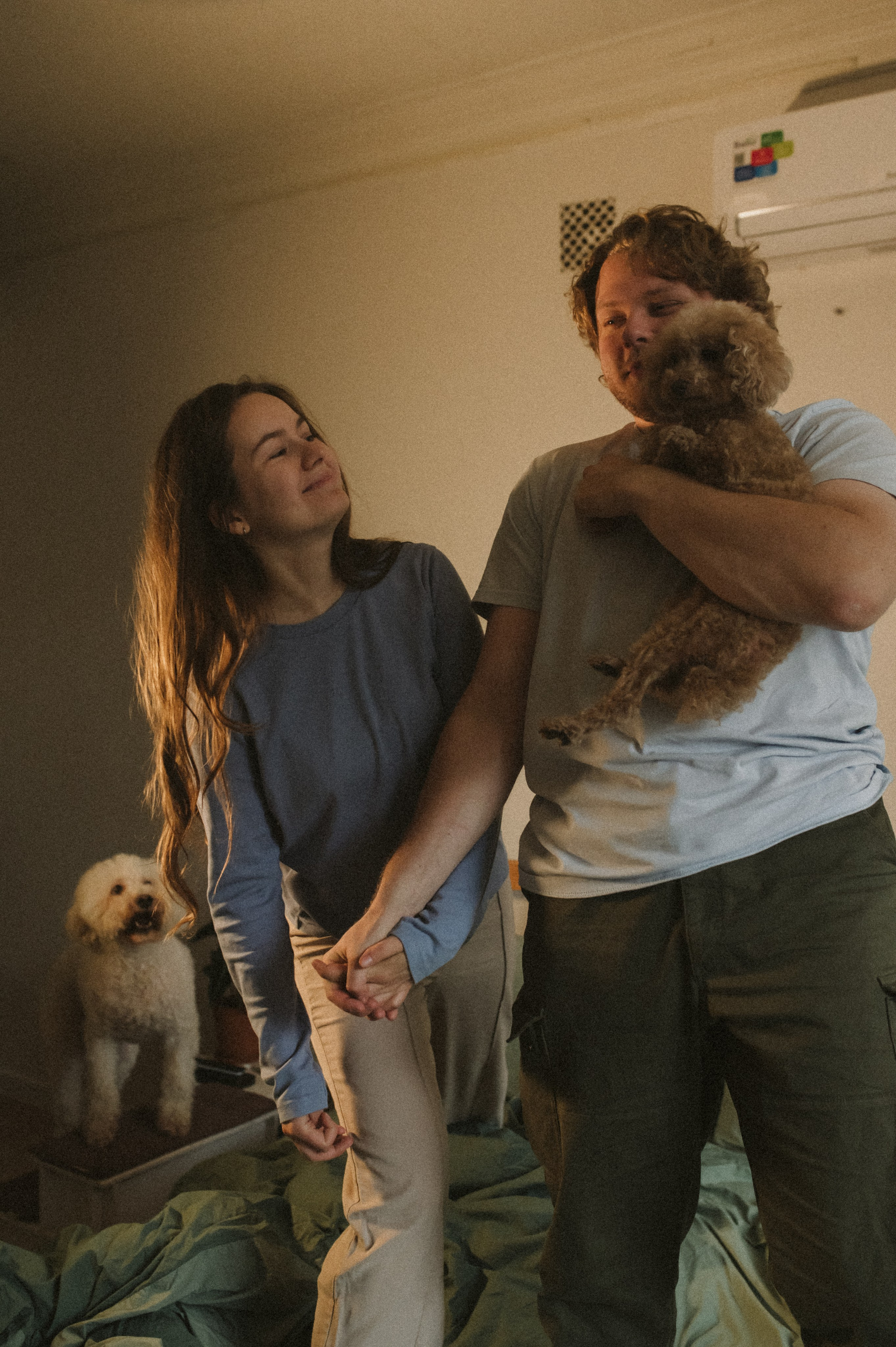 Ання и её кудрявая команда. Фотограф анималист в Москве Ольга Агушева