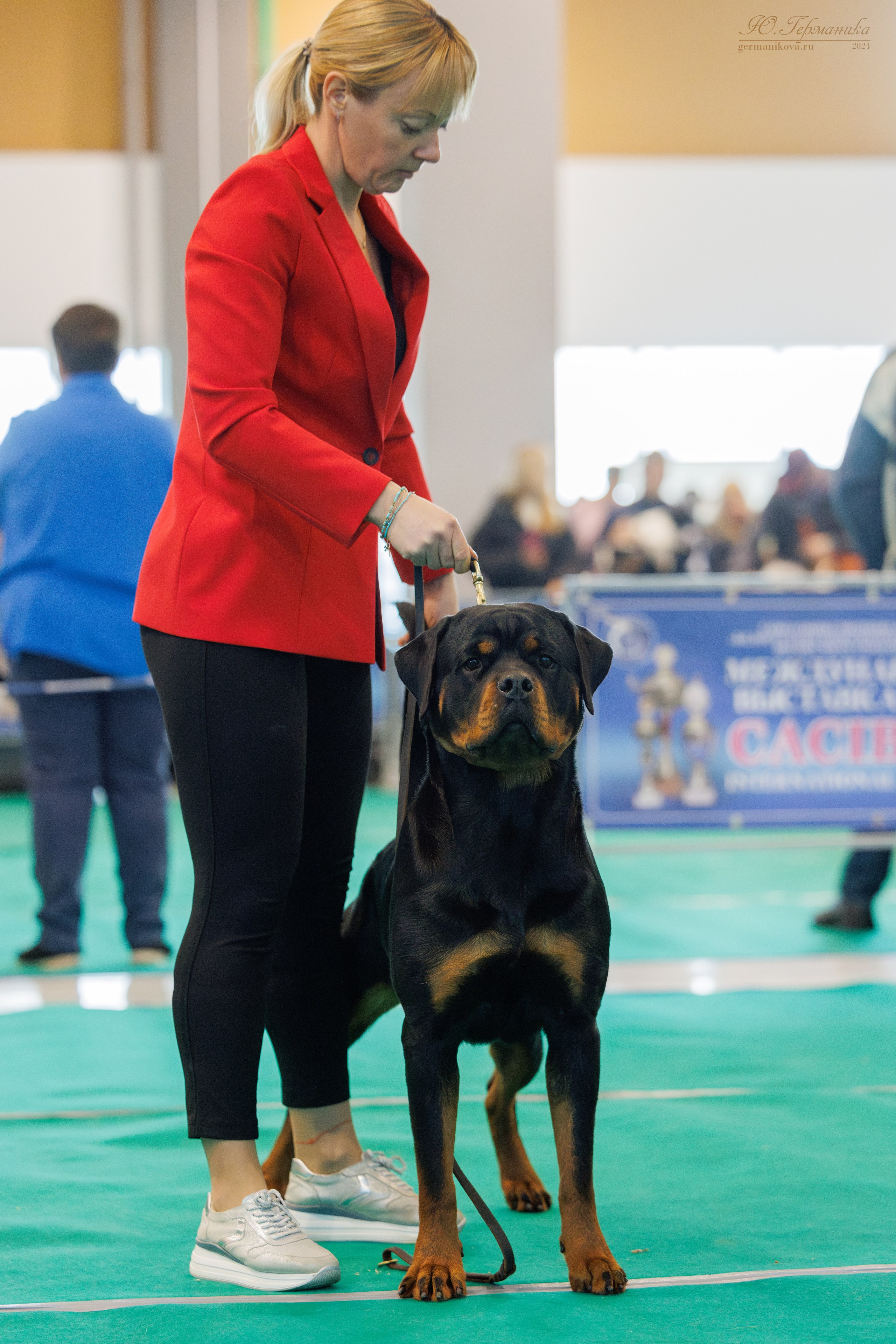 Минск 23.11.2024. Фотограф-анималист Юлия Германика