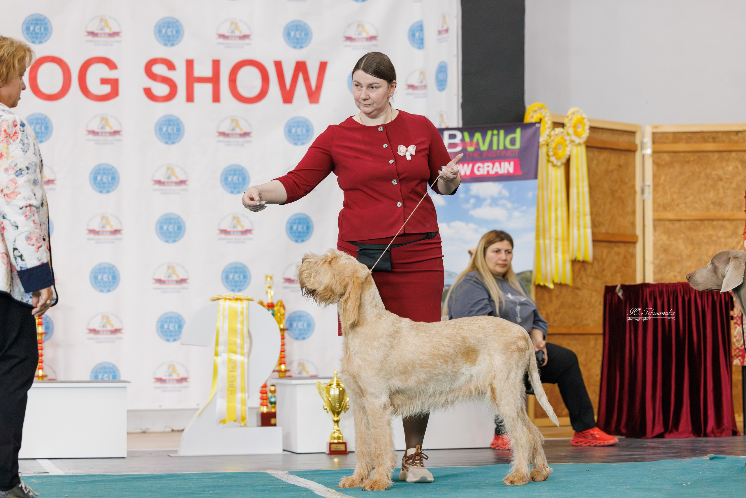 Ереван 2х CACIB 29-30.04.2025. Фотограф-анималист Юлия Германика