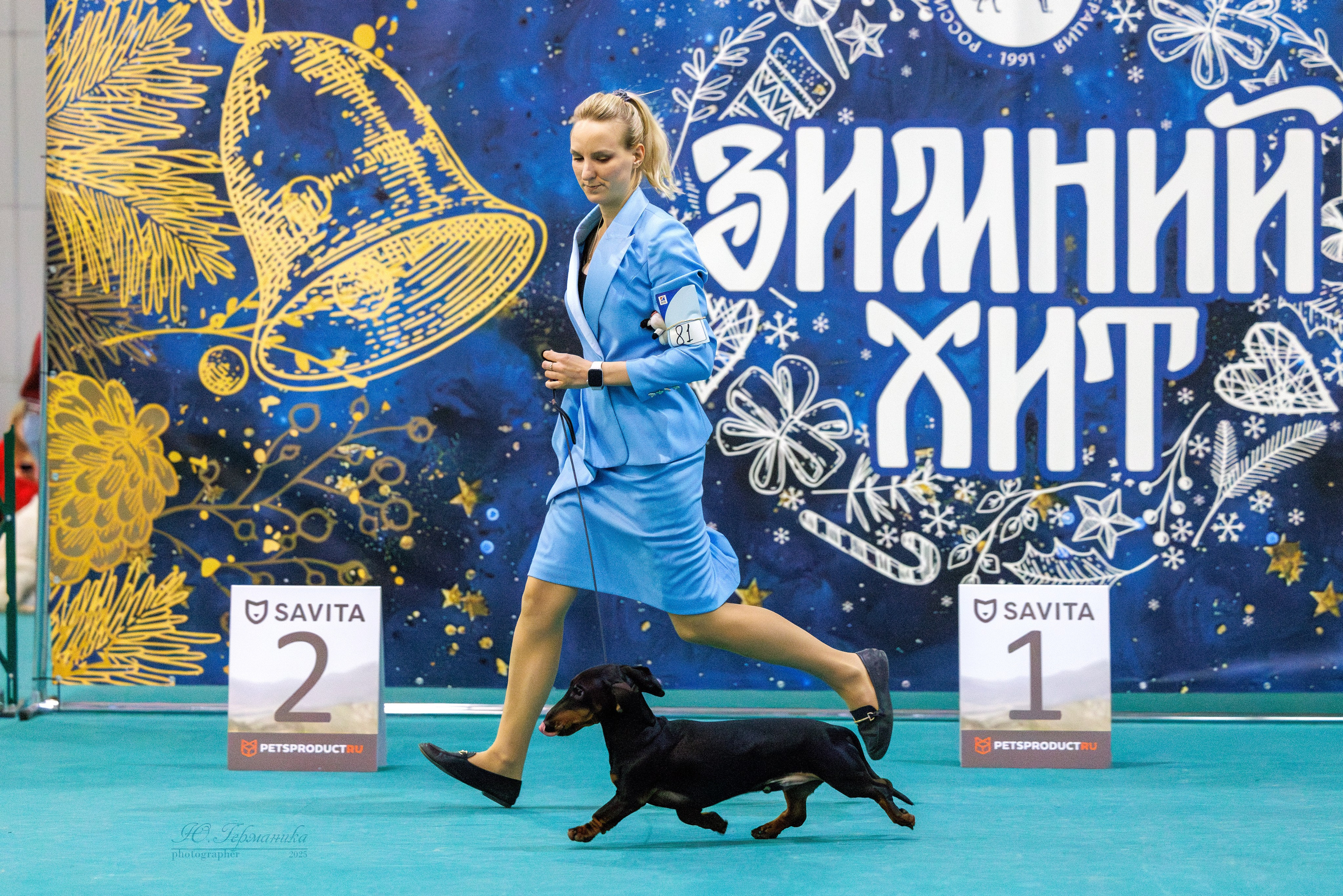 Питер ротвейлеры 18.01,Крокус 19.01.2025. Фотограф-анималист Юлия Германика