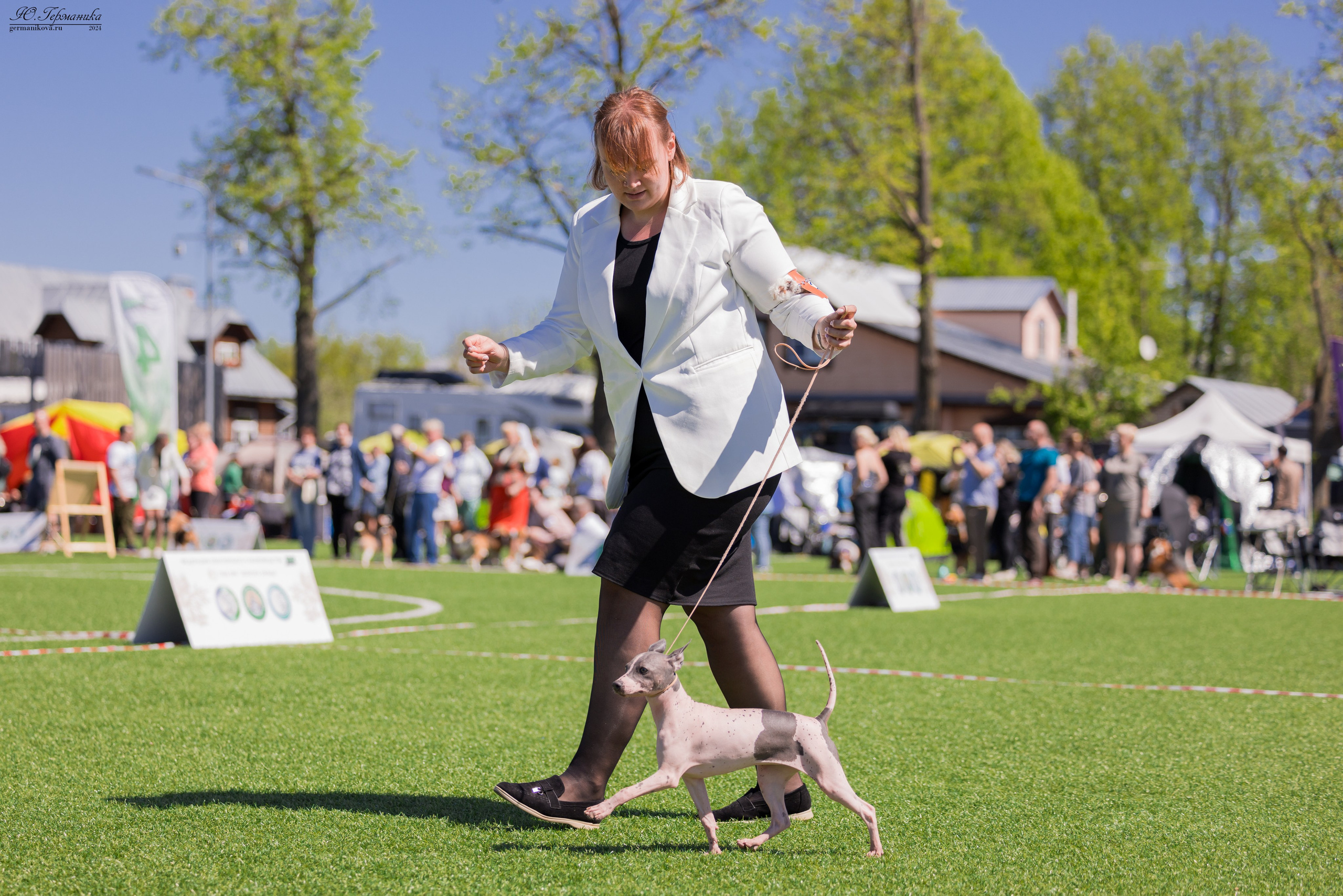 Суздаль 18-19.05.2024. Фотограф-анималист Юлия Германика