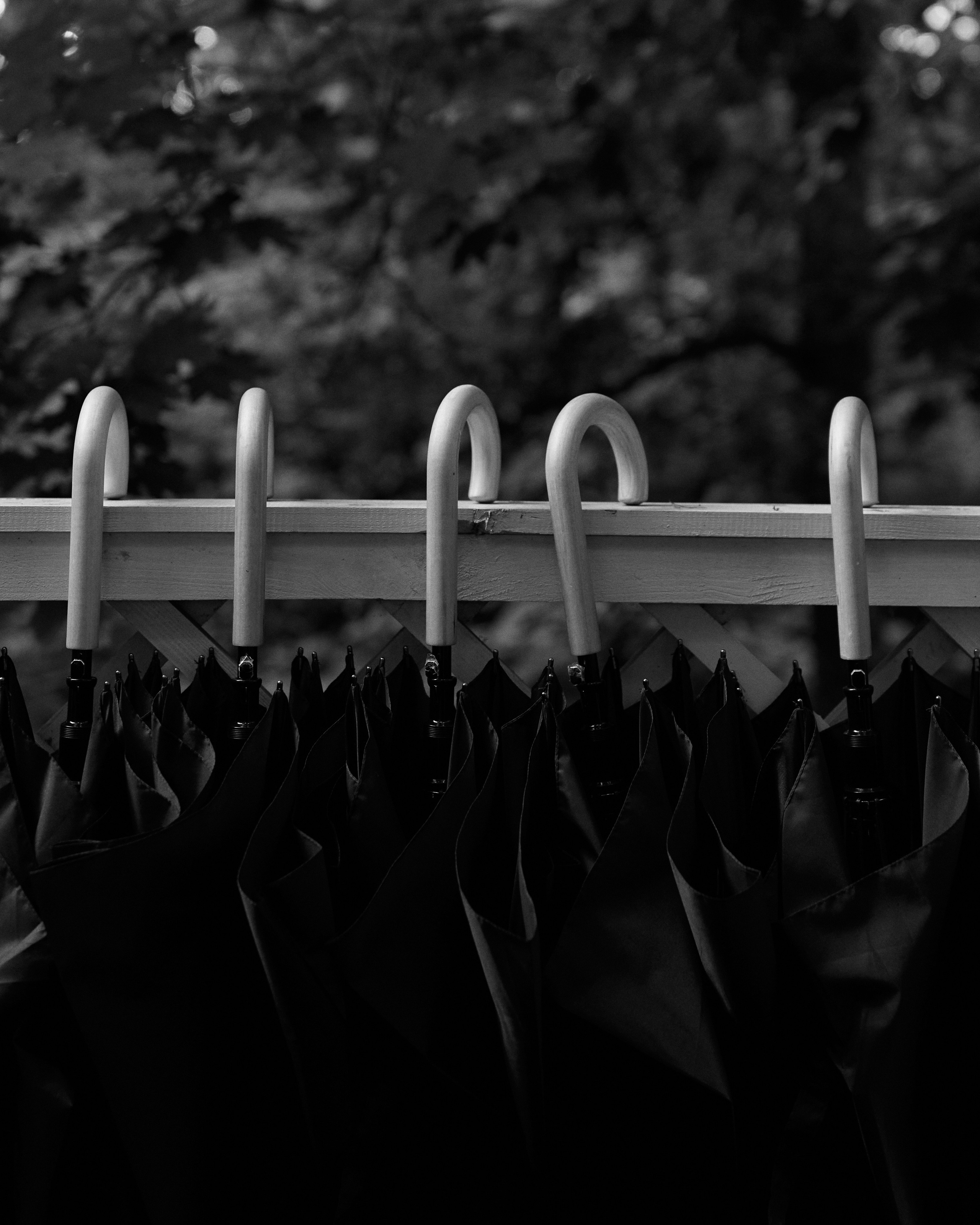 Мария и Владислав. Фотограф Олеся Скворцова