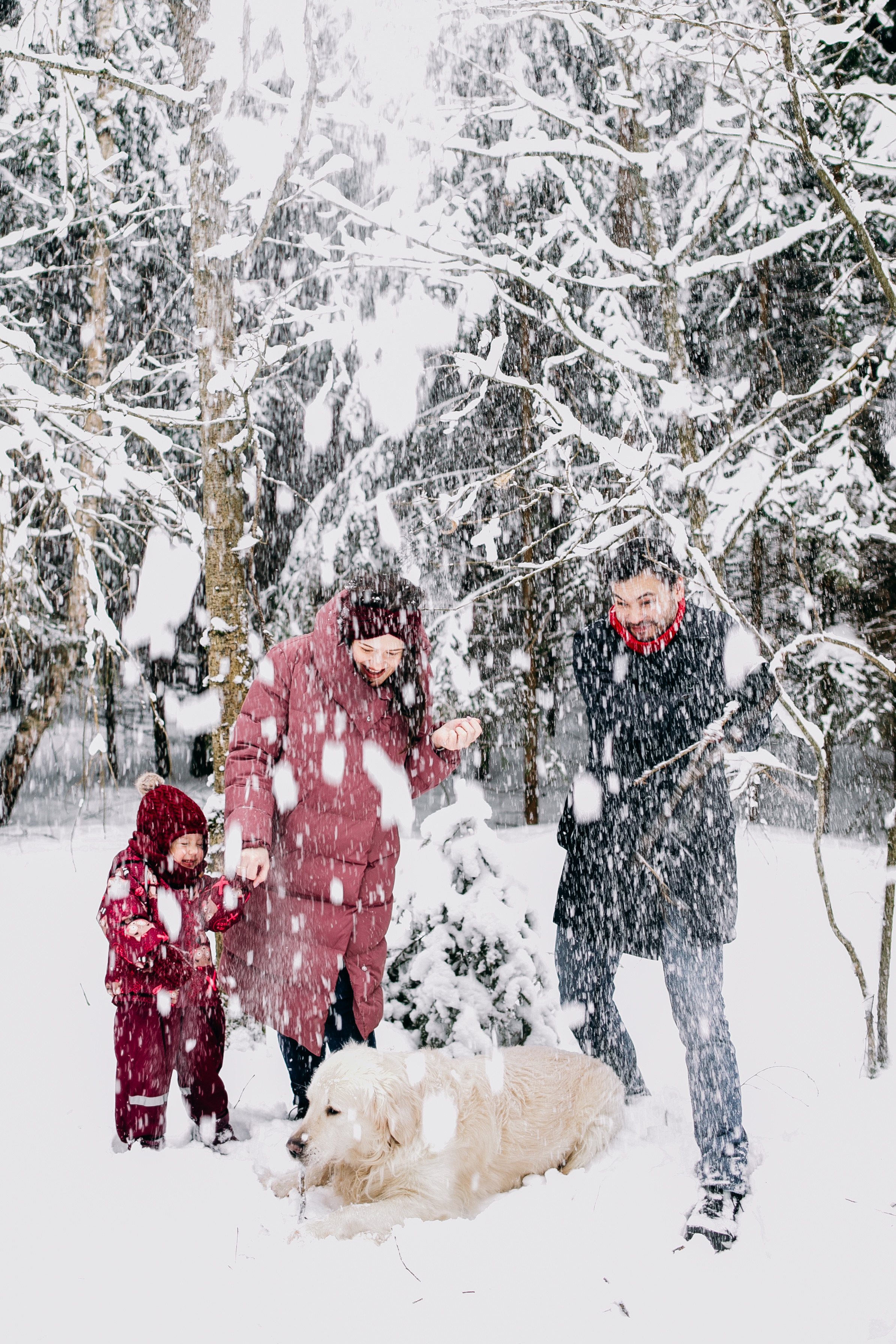 Снежный день в еловом лесу. Портретный фотограф в Минске Анна Волейко