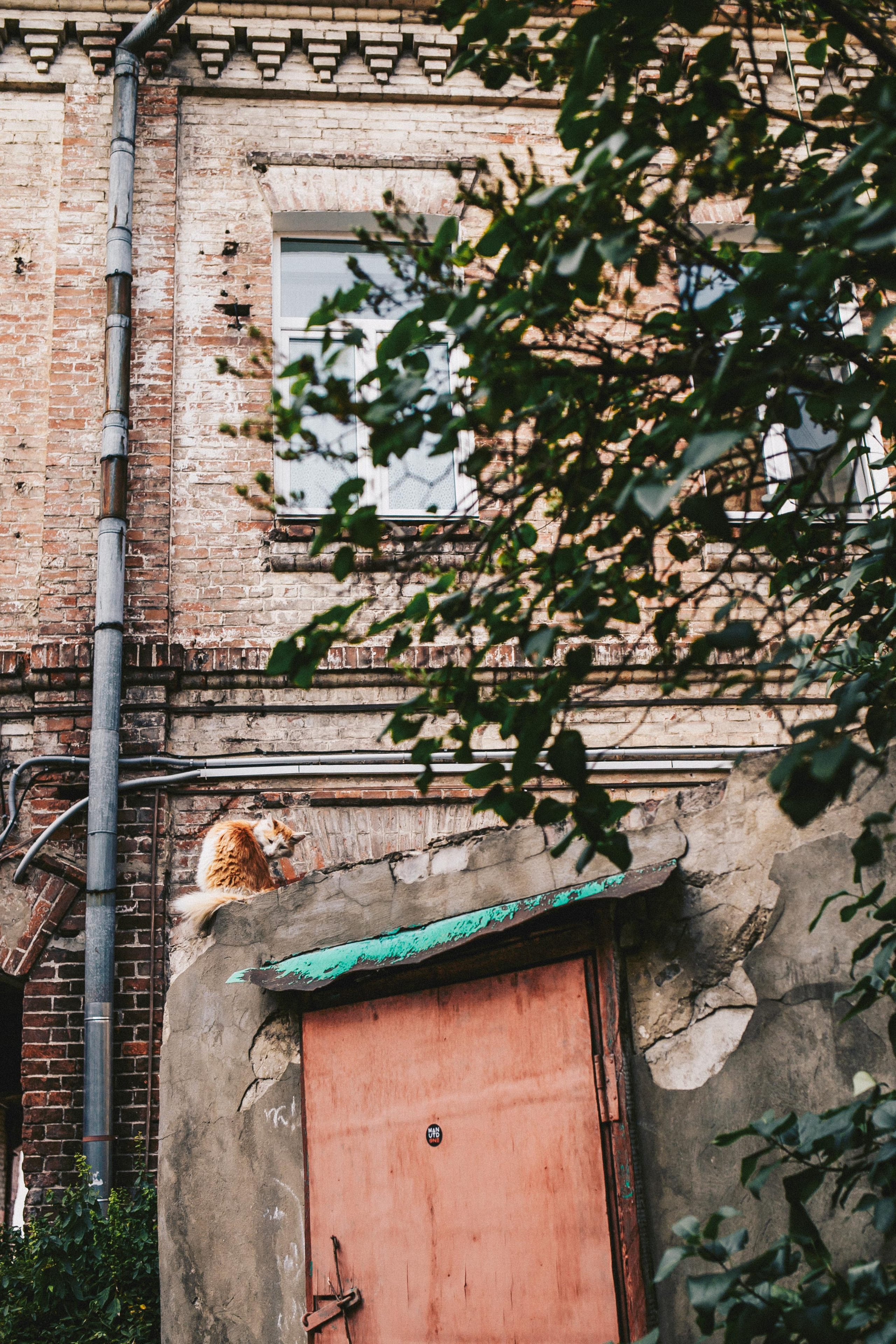 Прогулка по Бобруйску. Портретный фотограф в Минске Анна Волейко