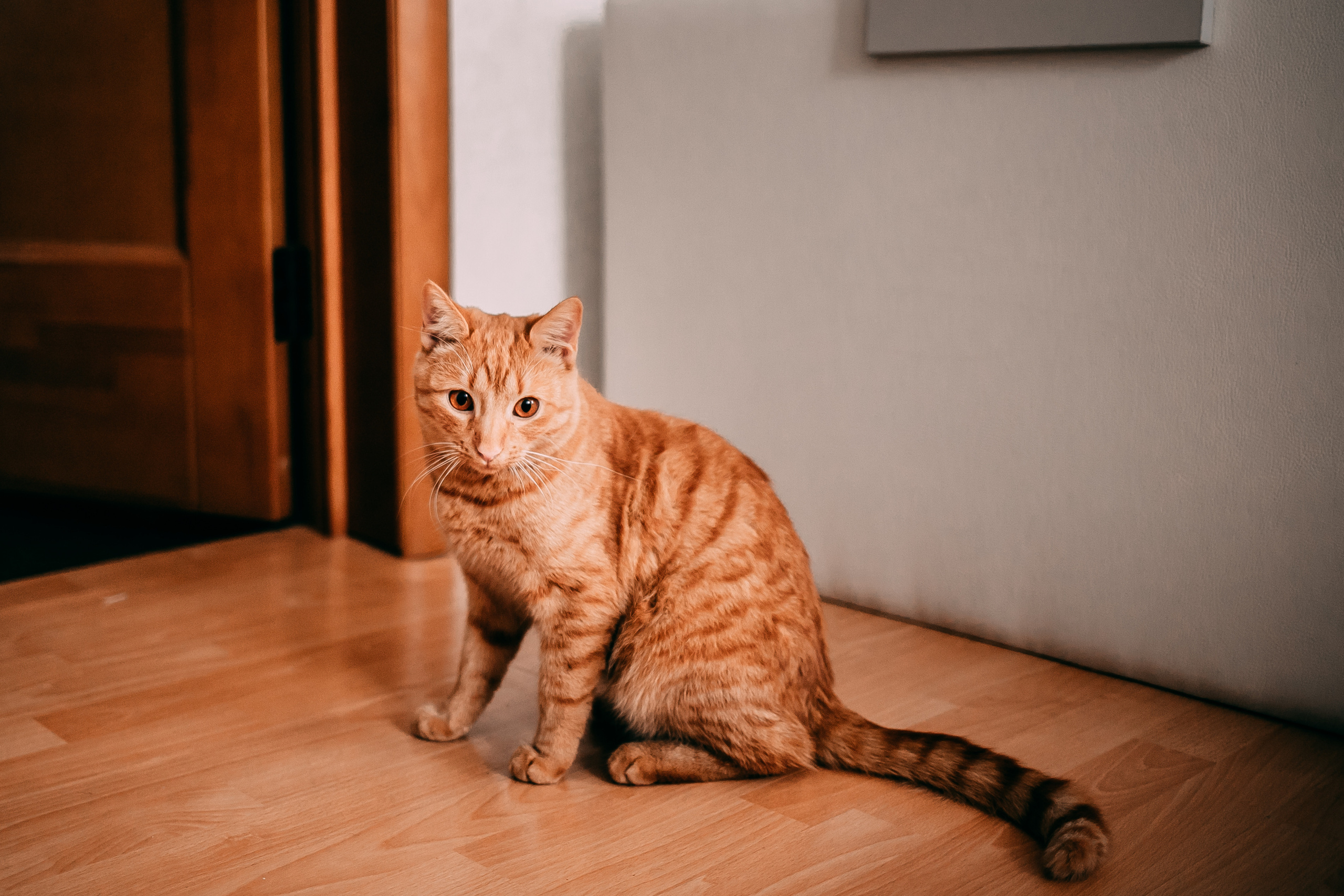 Семья — самое тёплое на Земле. Портретный фотограф в Минске Анна Волейко