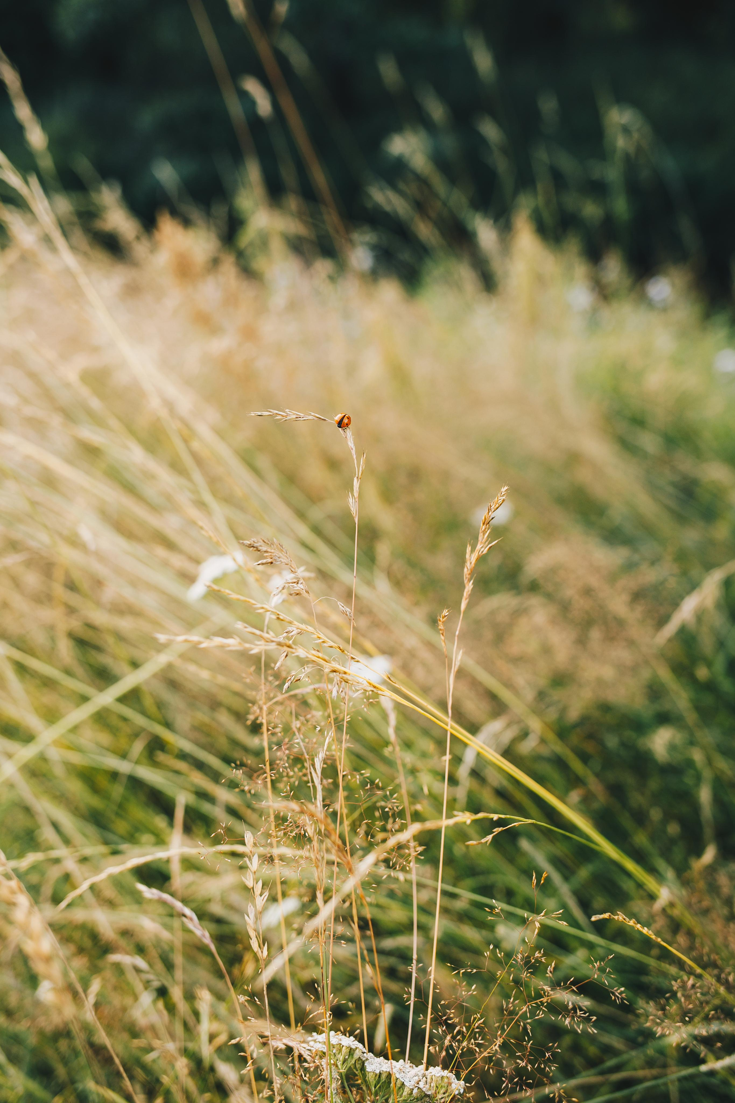 В слиянии с природой. Портретный фотограф в Минске Анна Волейко