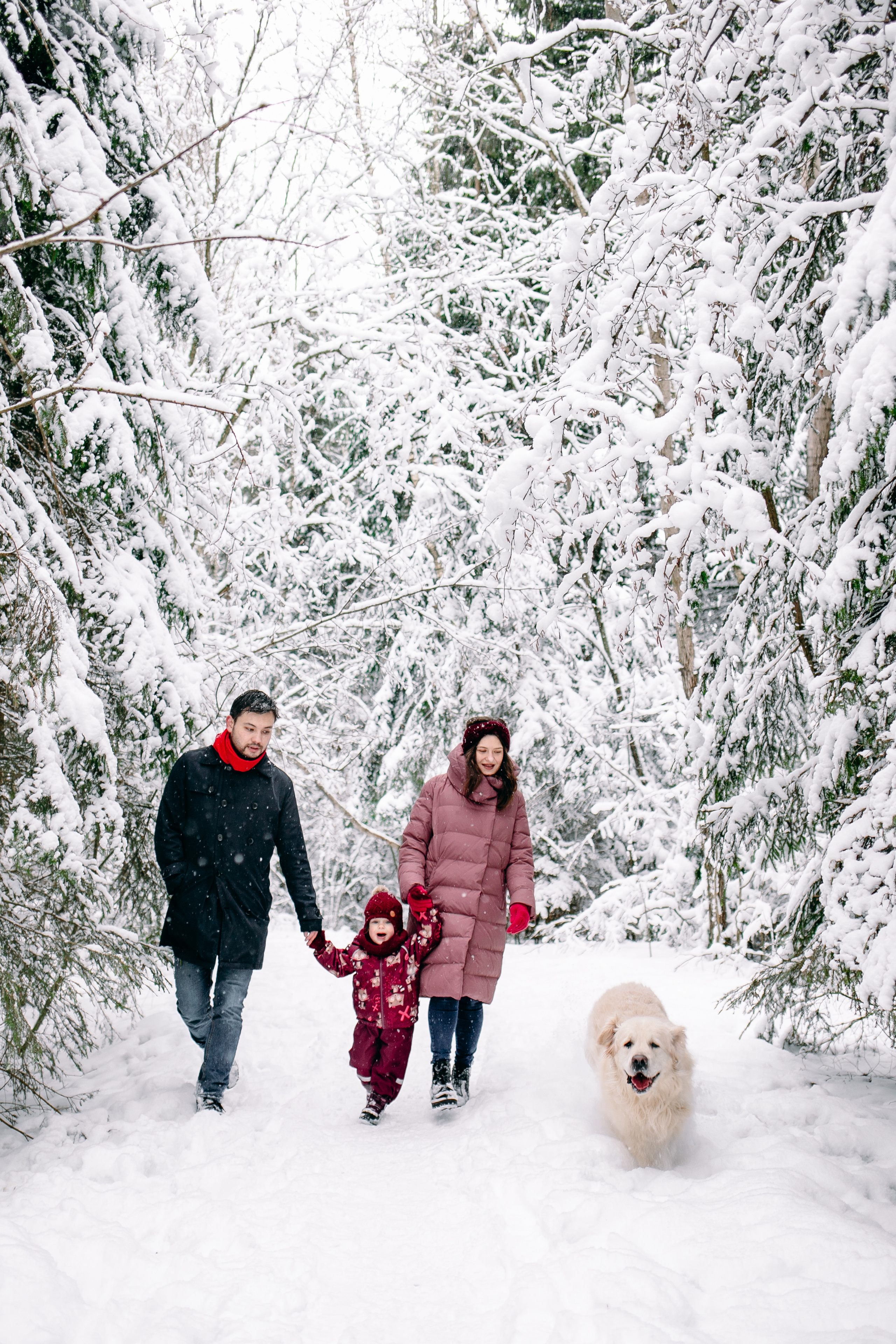 Снежный день в еловом лесу. Портретный фотограф в Минске Анна Волейко
