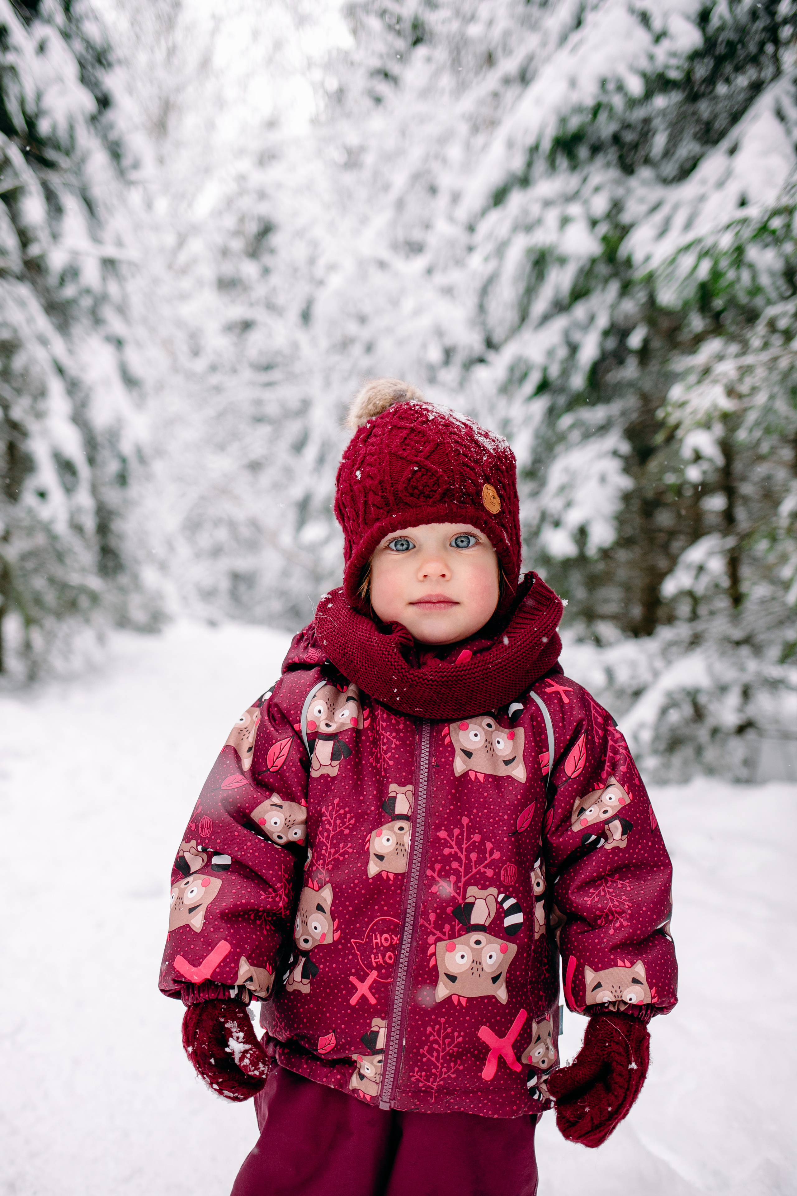 Снежный день в еловом лесу. Портретный фотограф в Минске Анна Волейко