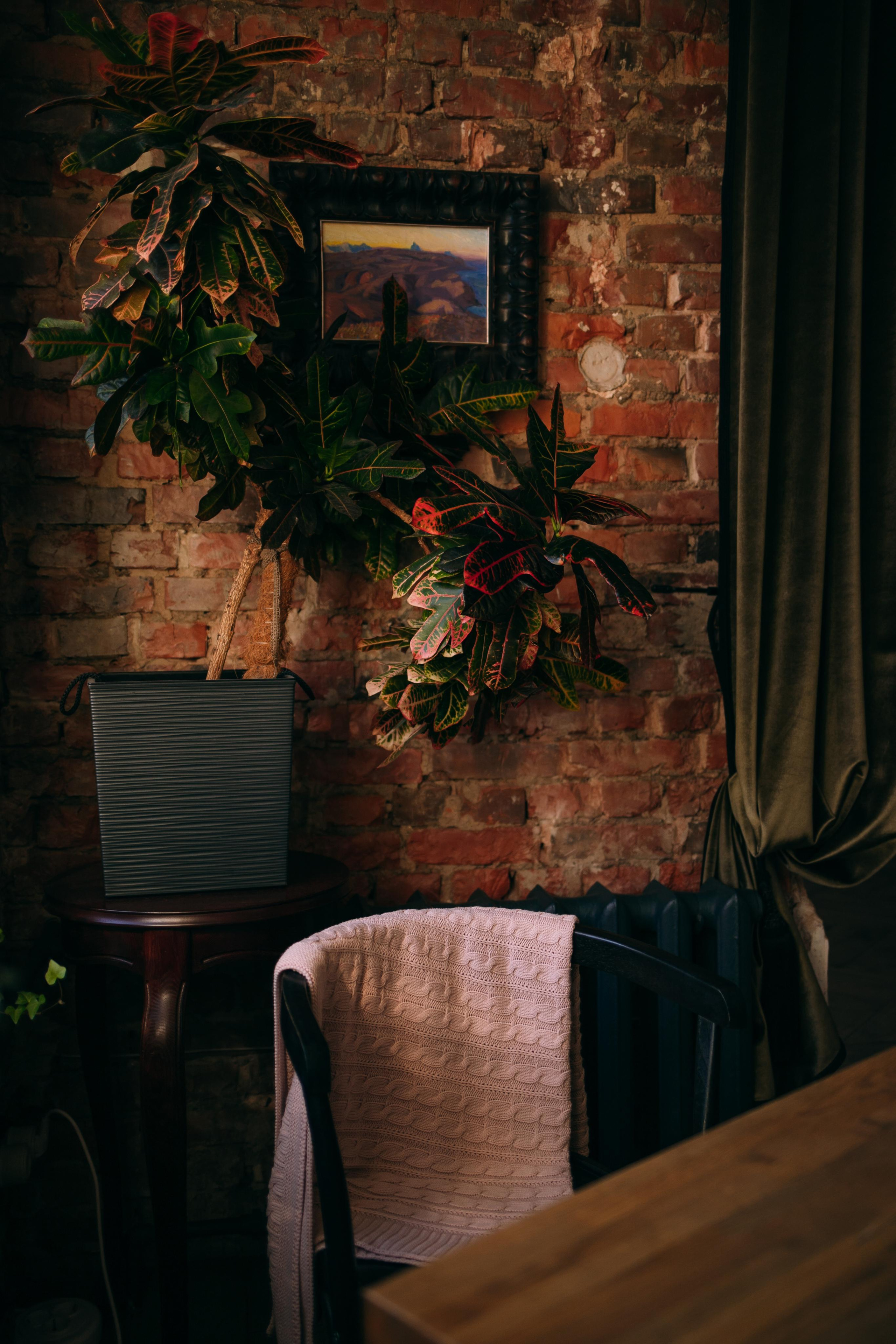 Первый выход в свет для Евы. Портретный фотограф в Минске Анна Волейко