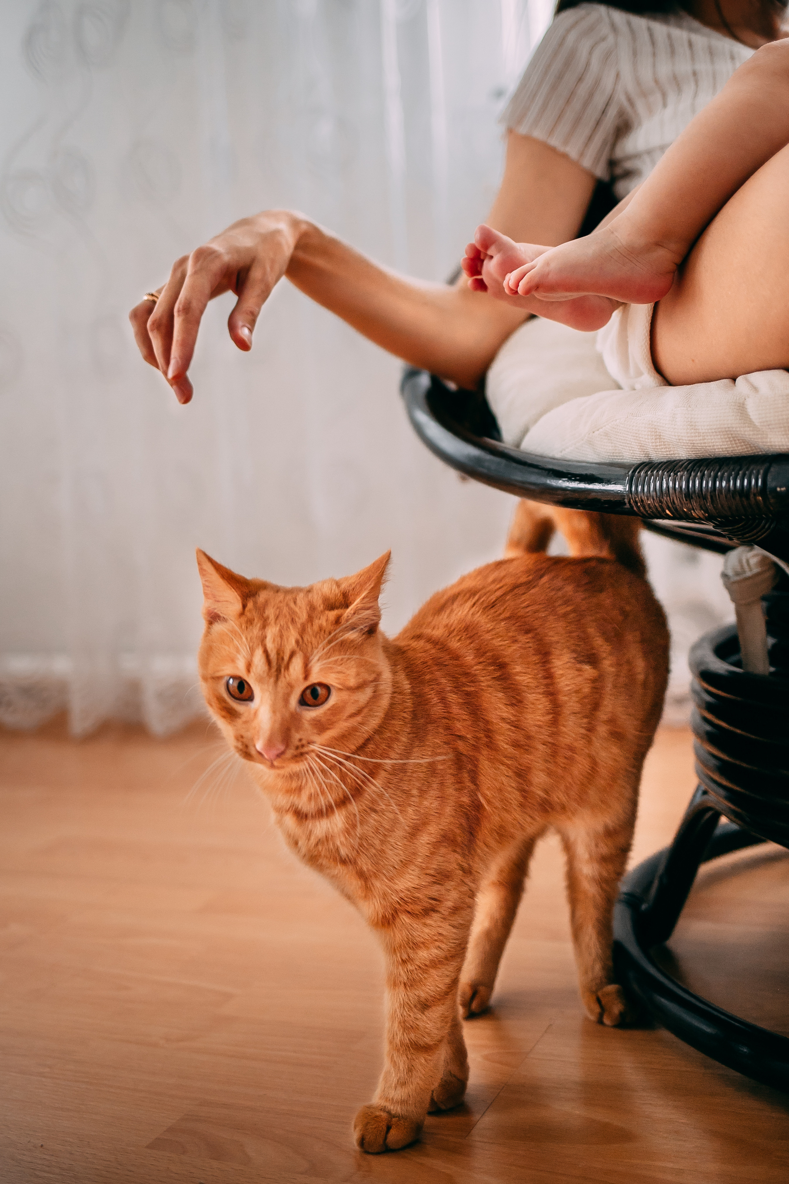 Семья — самое тёплое на Земле. Портретный фотограф в Минске Анна Волейко