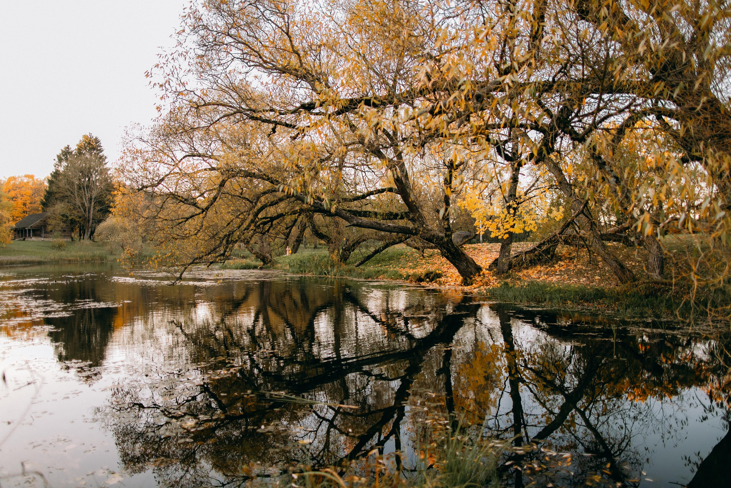 Осень в Вязынке. Портретный фотограф в Минске Анна Волейко