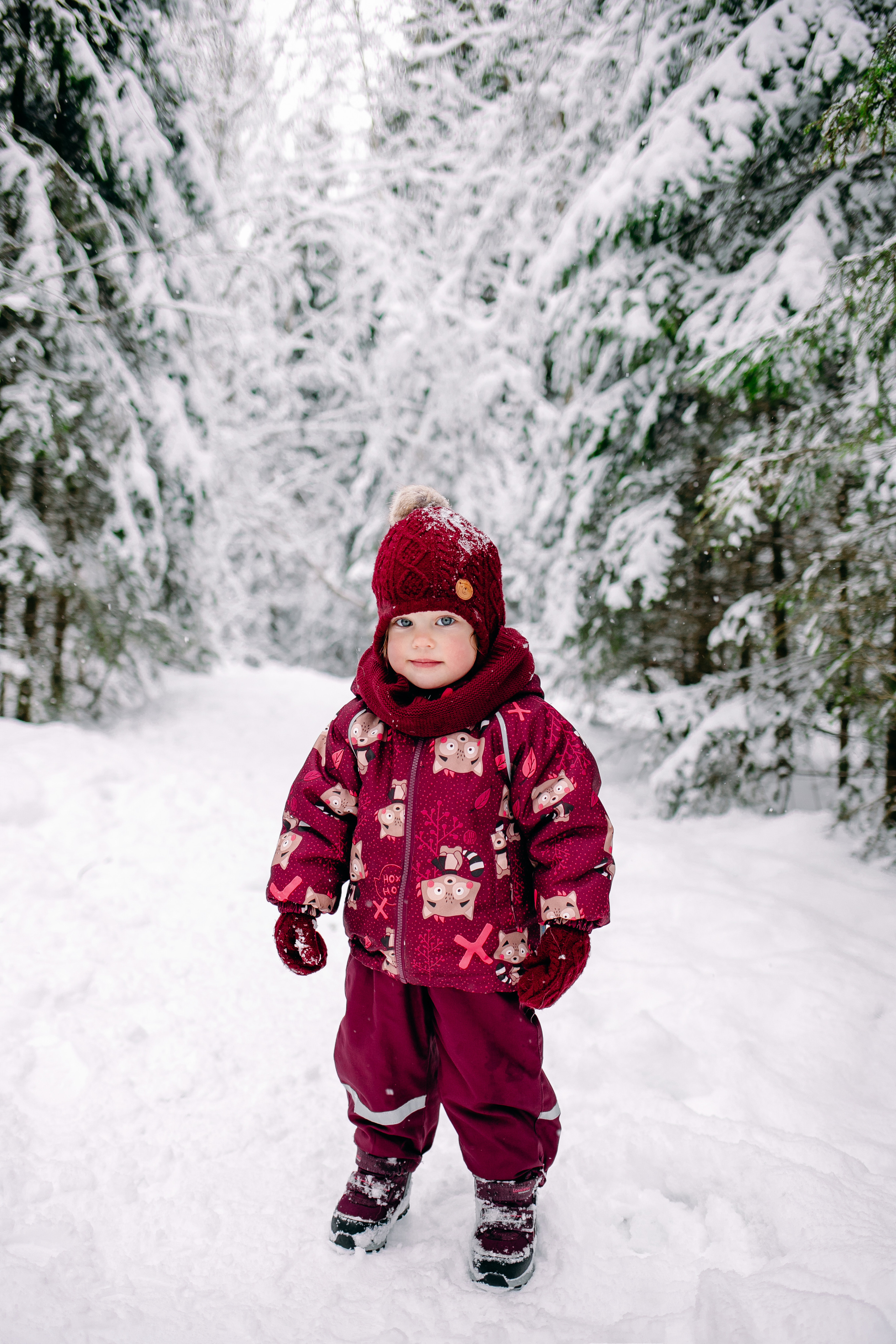 Снежный день в еловом лесу. Портретный фотограф в Минске Анна Волейко