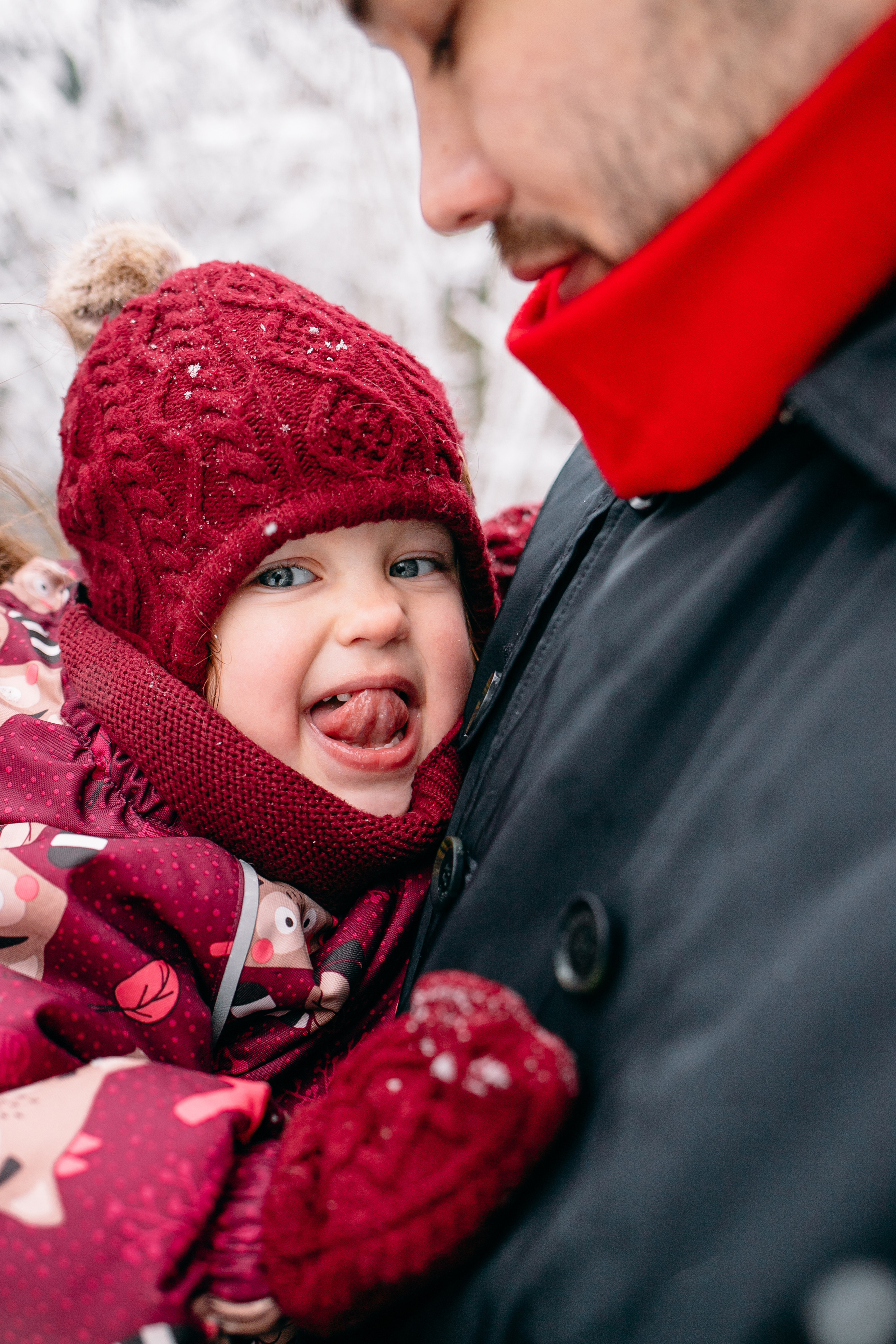 Снежный день в еловом лесу. Портретный фотограф в Минске Анна Волейко