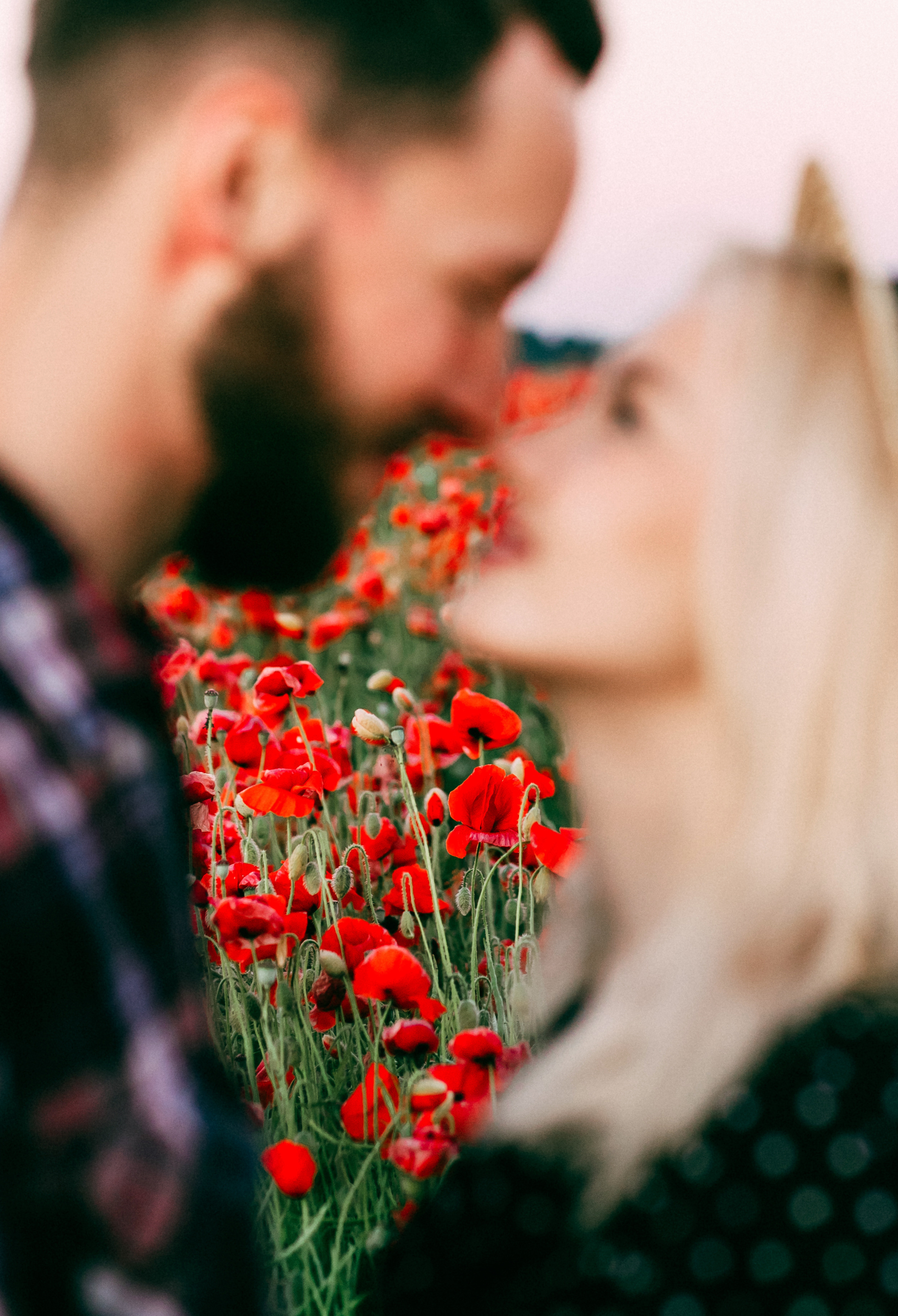 Встретить рассвет в маковом поле. Портретный фотограф в Минске Анна Волейко