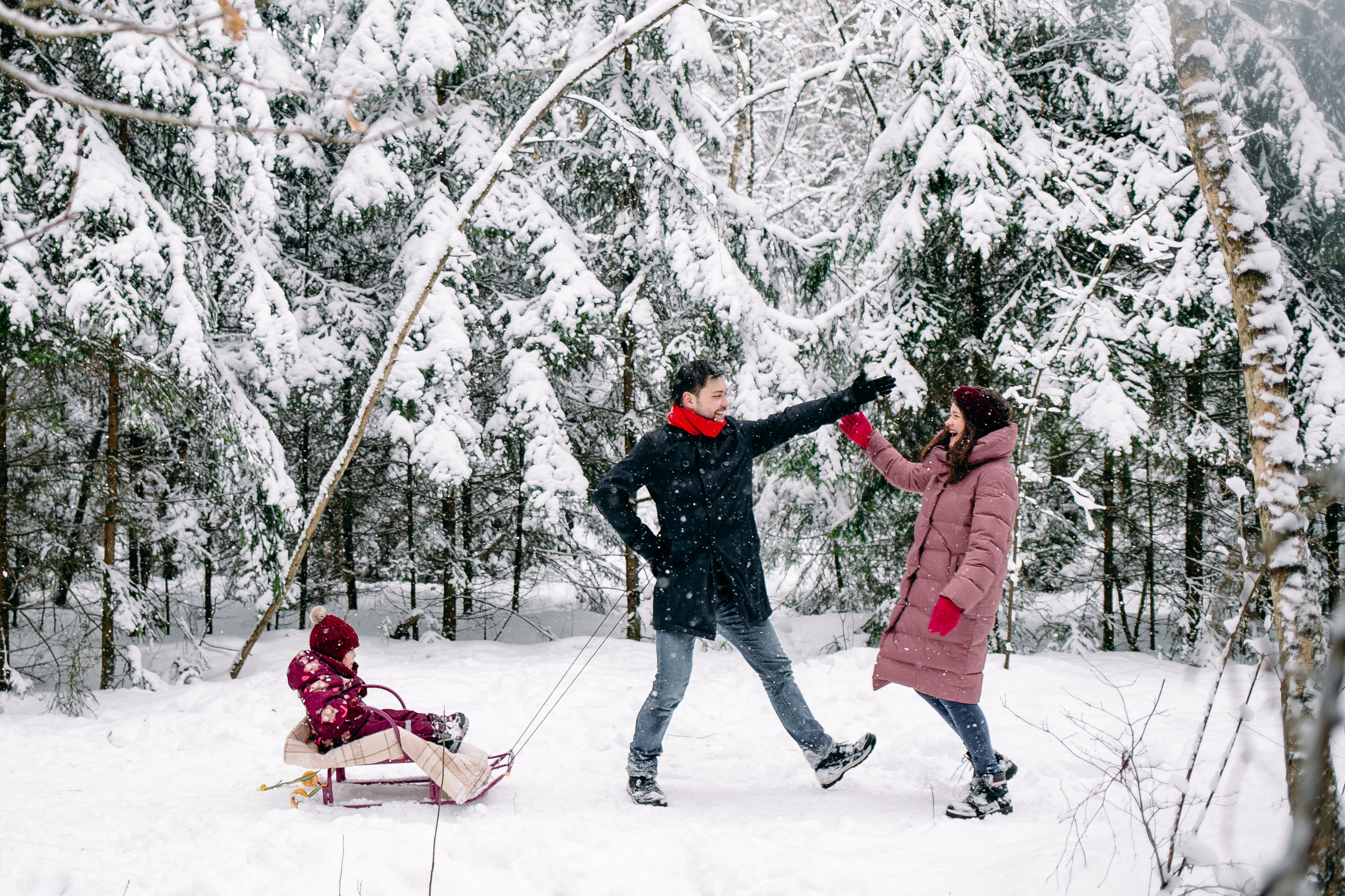 Снежный день в еловом лесу. Портретный фотограф в Минске Анна Волейко