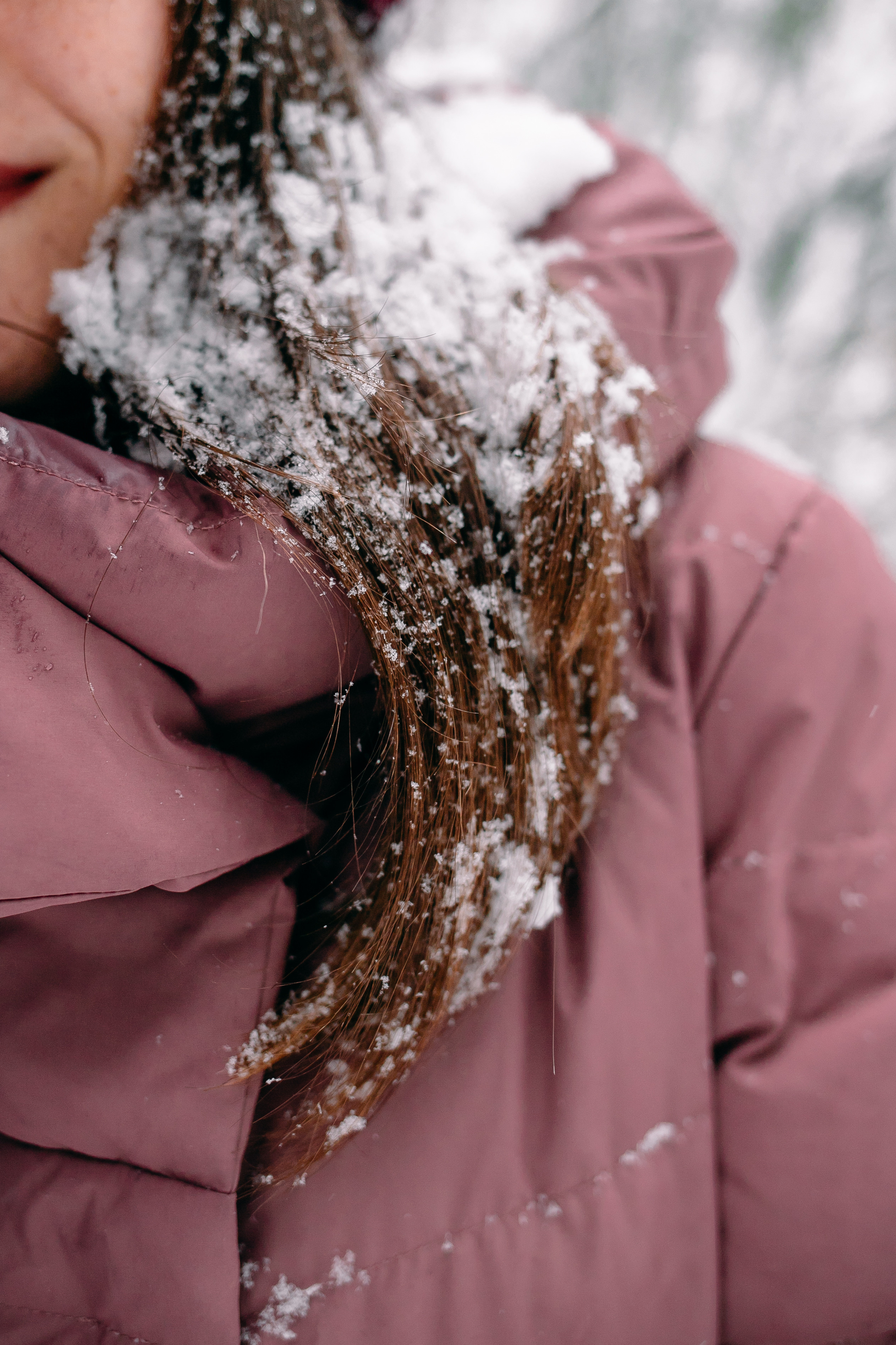 Снежный день в еловом лесу. Портретный фотограф в Минске Анна Волейко