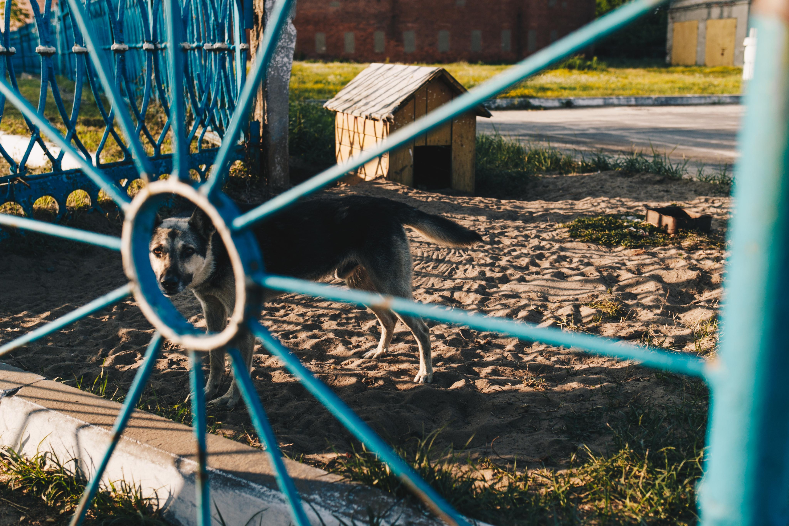 Прогулка по Бобруйску. Портретный фотограф в Минске Анна Волейко