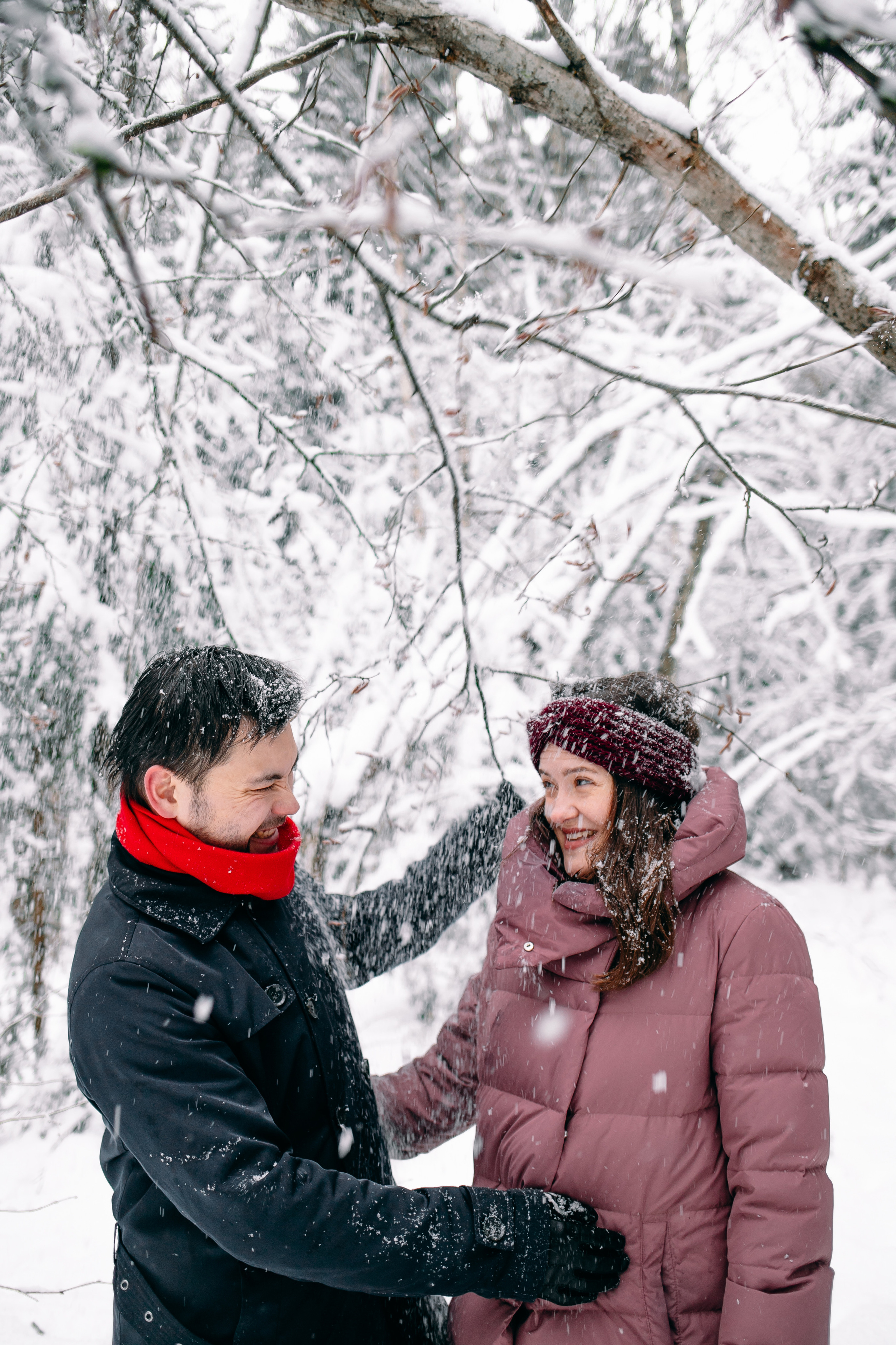 Снежный день в еловом лесу. Портретный фотограф в Минске Анна Волейко