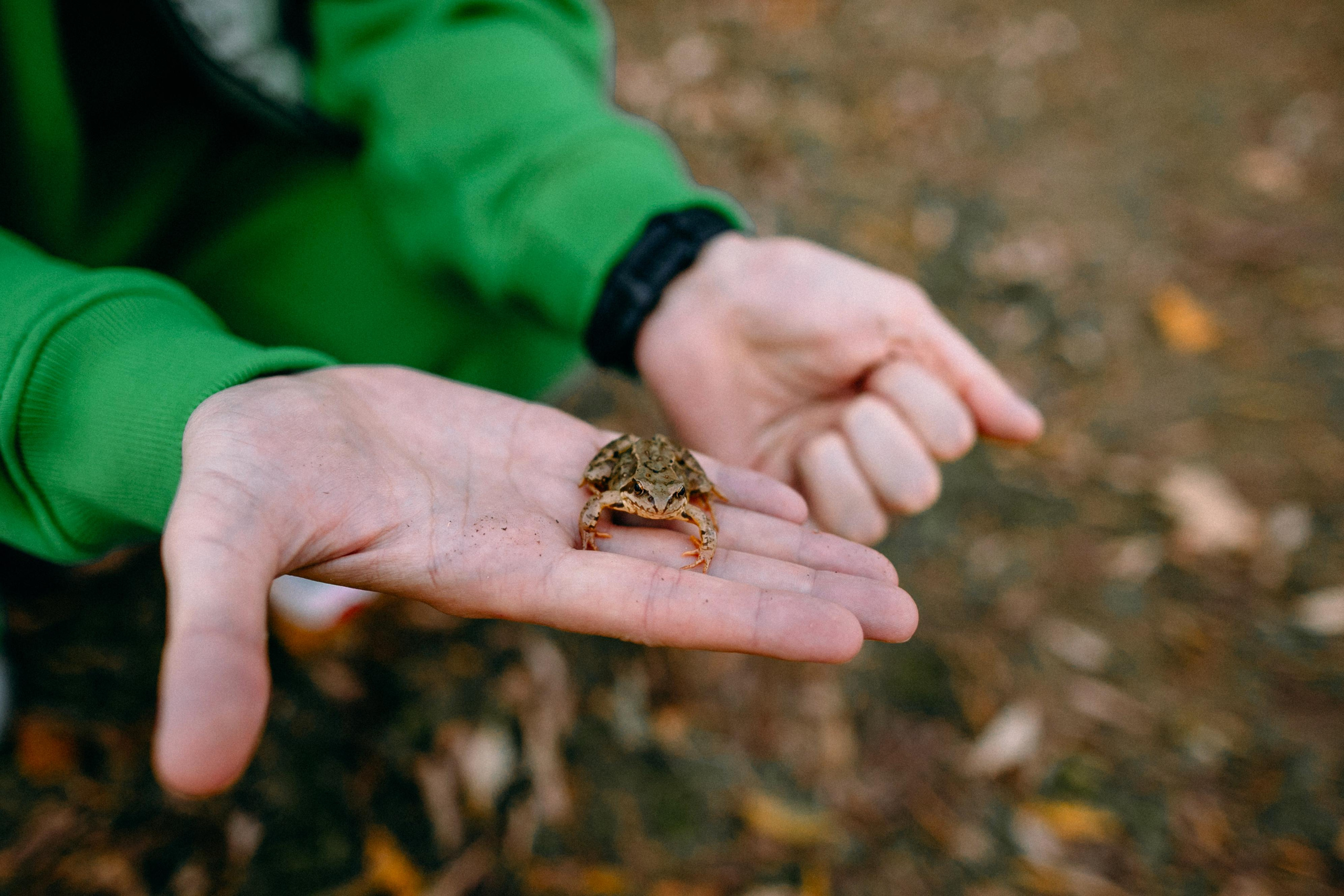 Осень в Вязынке. Портретный фотограф в Минске Анна Волейко
