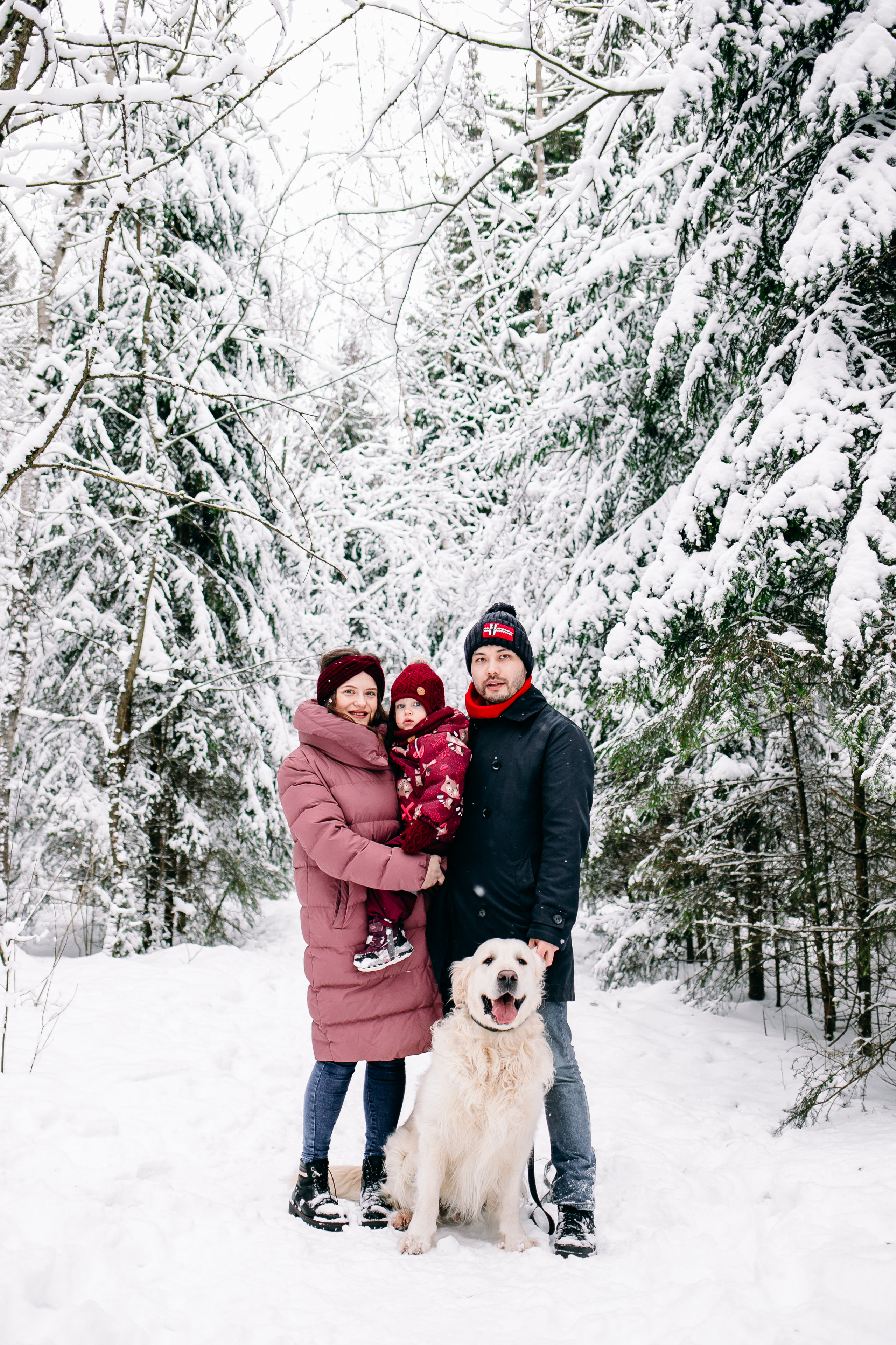 Снежный день в еловом лесу. Портретный фотограф в Минске Анна Волейко