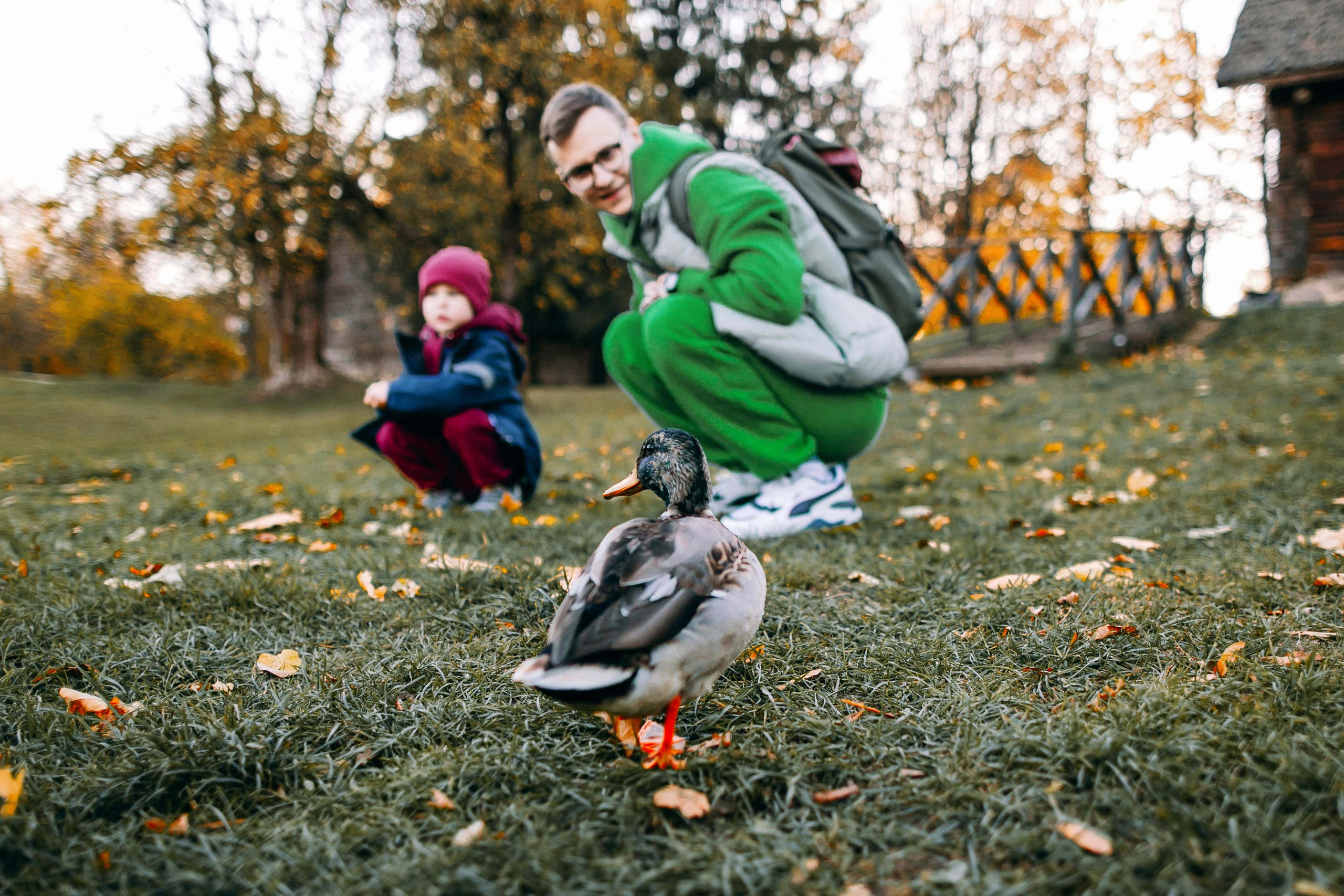 Осень в Вязынке. Портретный фотограф в Минске Анна Волейко