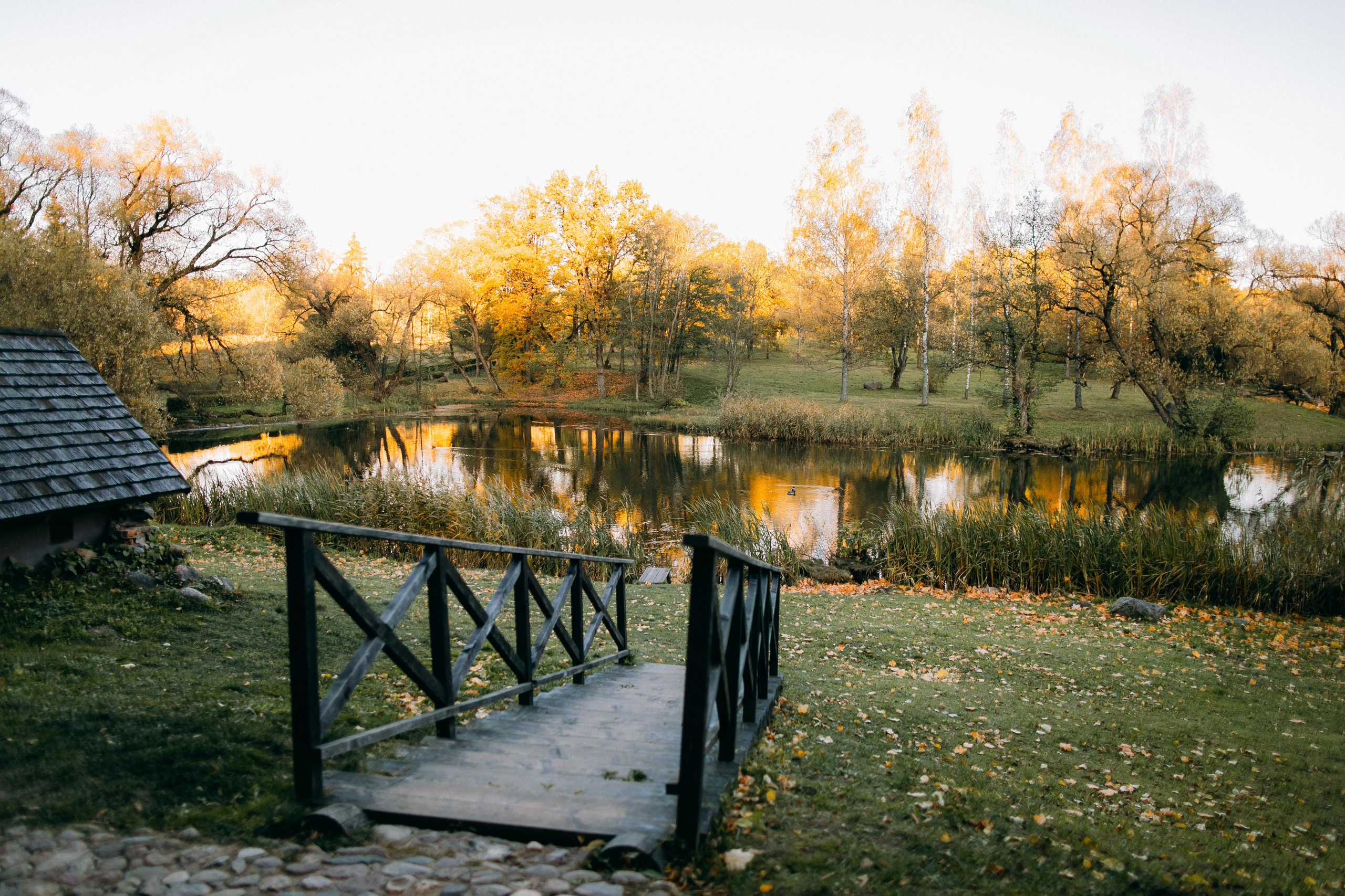 Осень в Вязынке. Портретный фотограф в Минске Анна Волейко